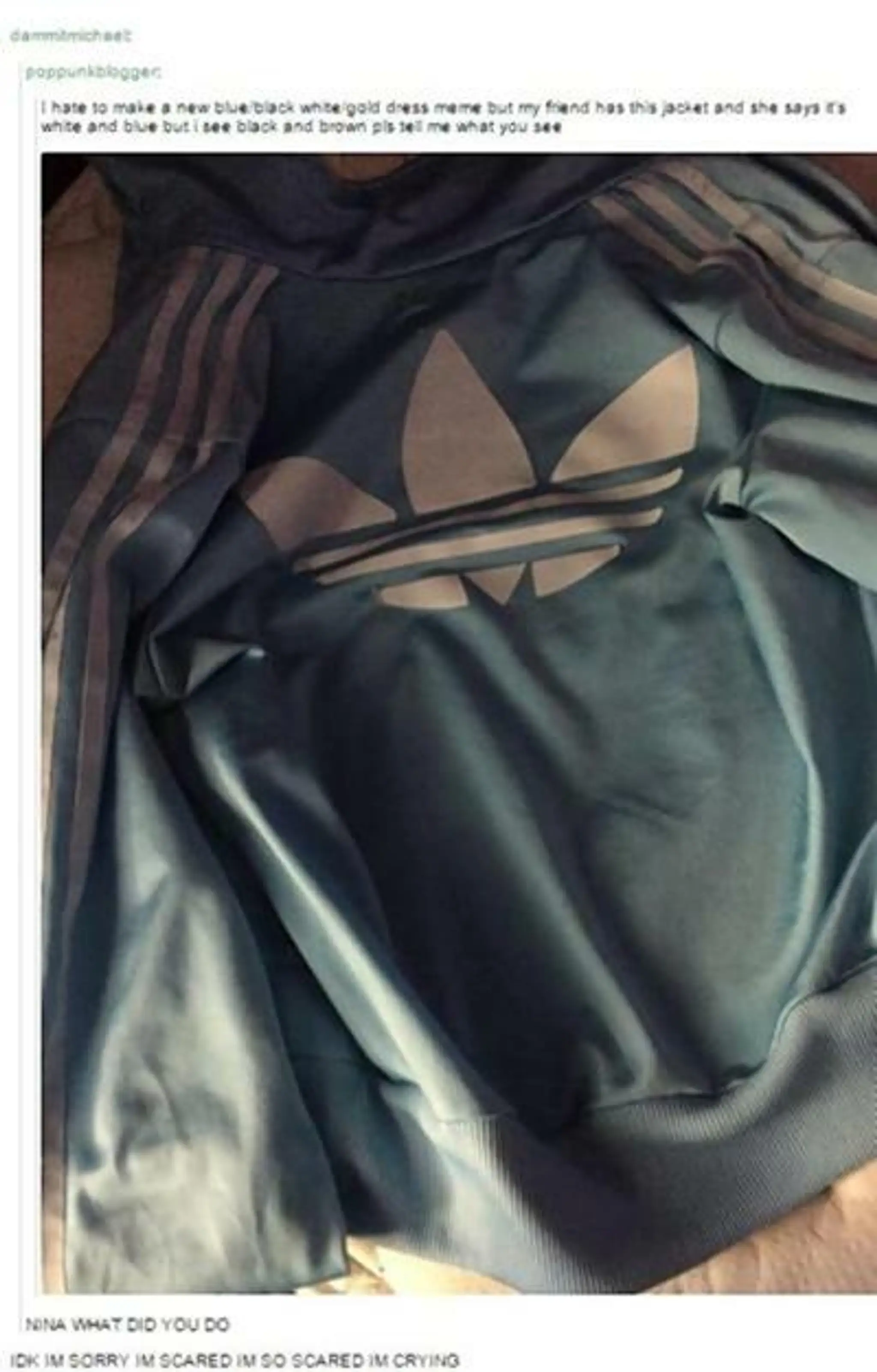 Adidas bunda.