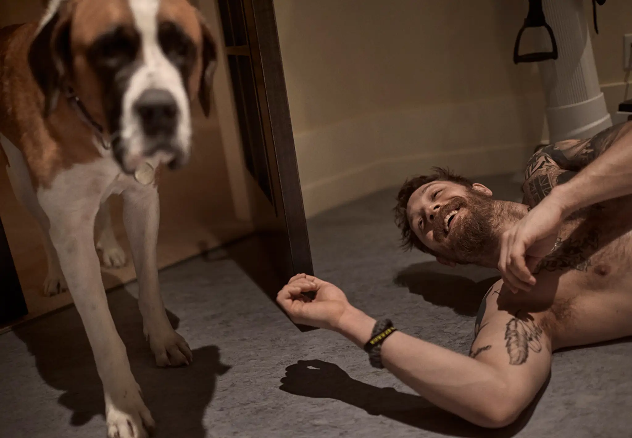 tom3.jpg