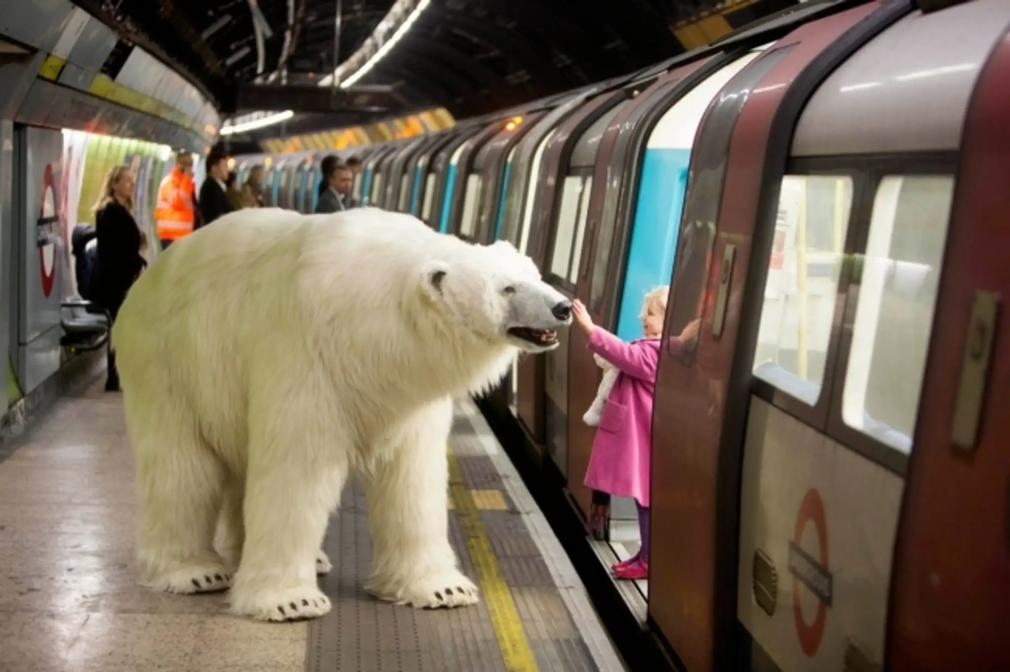 polar-bear-london.jpg