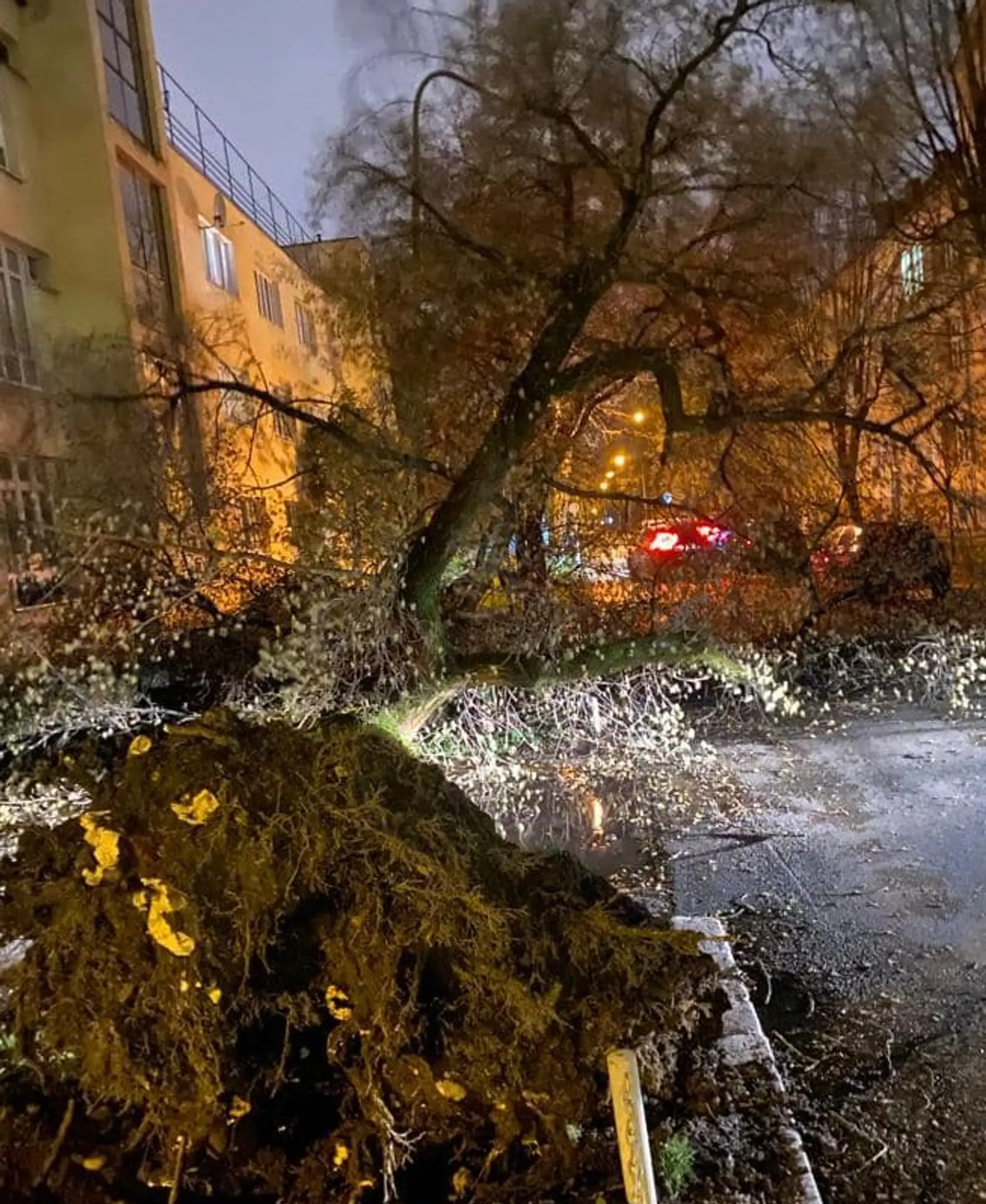 Po nočnej víchrici nastala v uliciach Košíc doslova skaza.