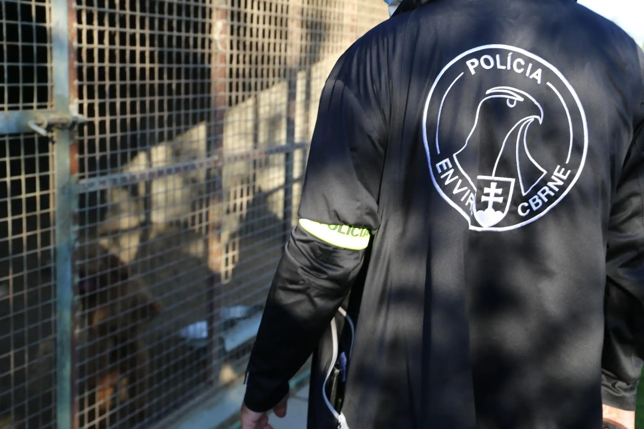 Na snímke je policajná akcia Kerberos proti nelegálnemu obchodu so psami.