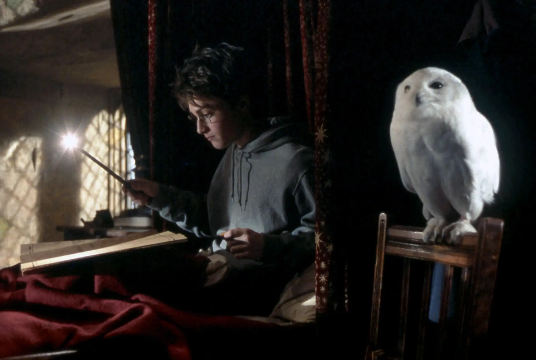 Harry Potter (Daniel Radcliffe) so sovou Hedvigou