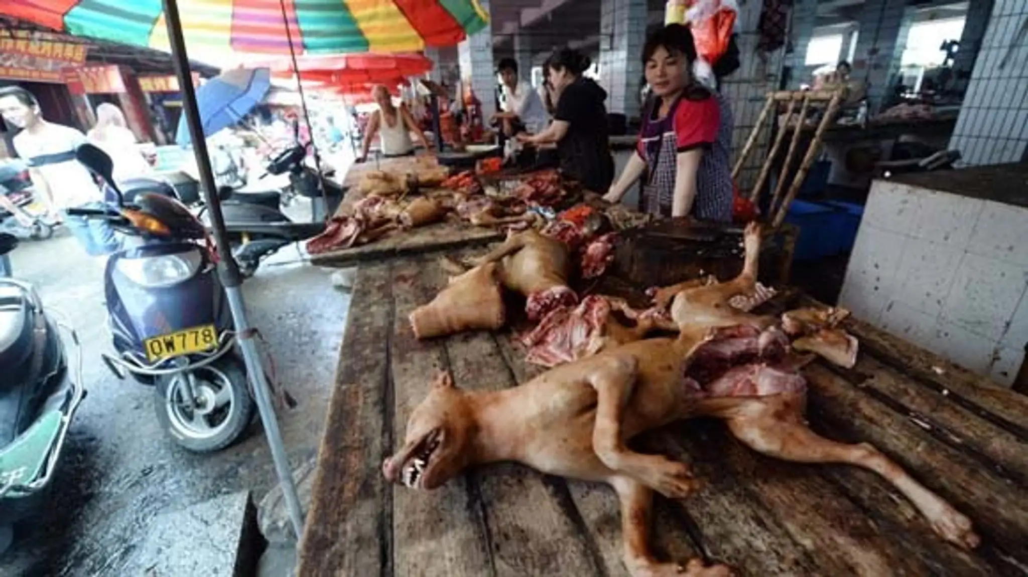 Čínsky festival jedenia psieho mäsa v meste Yulin
