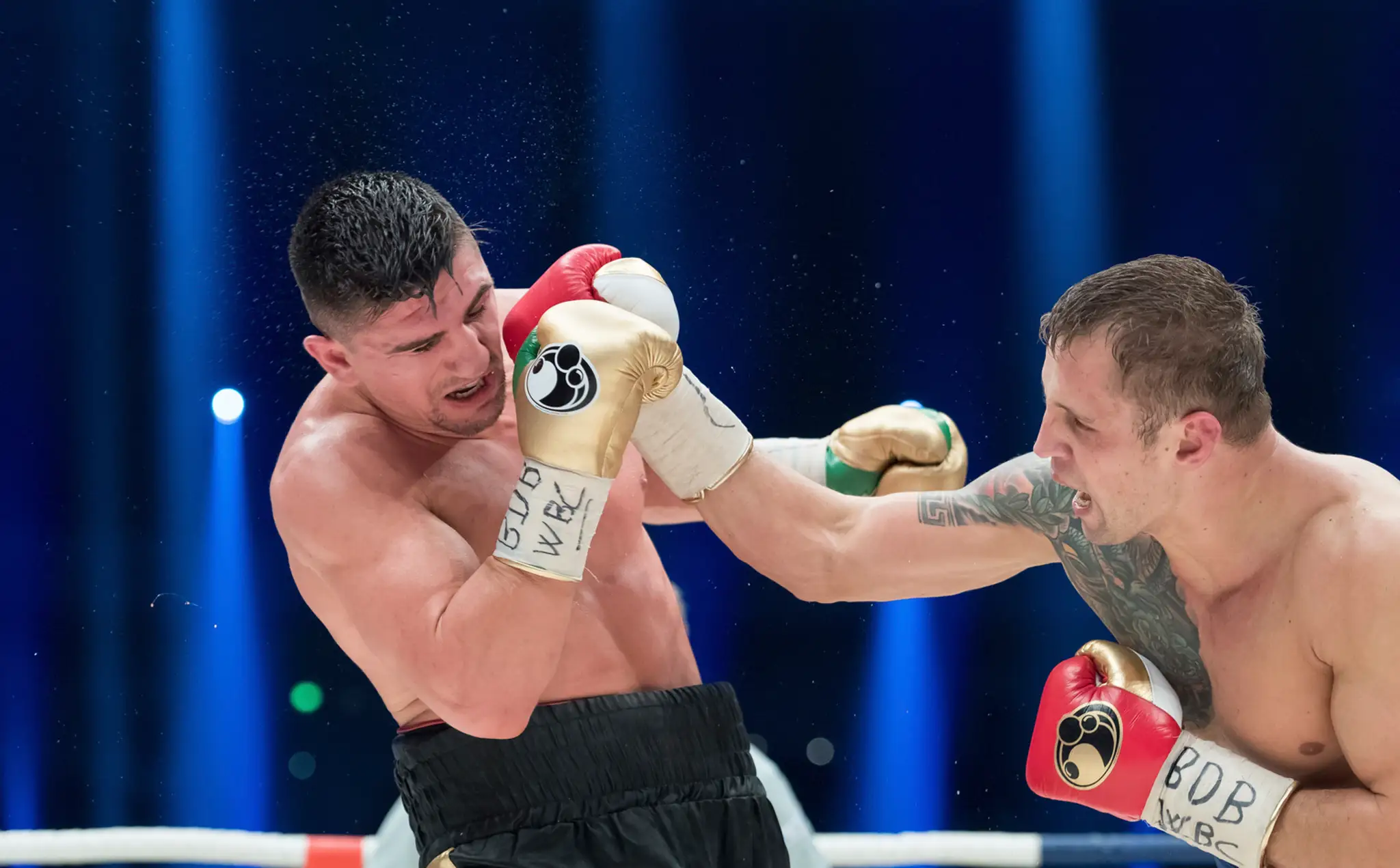 Briedis je majster sveta v ťažkej váhe.