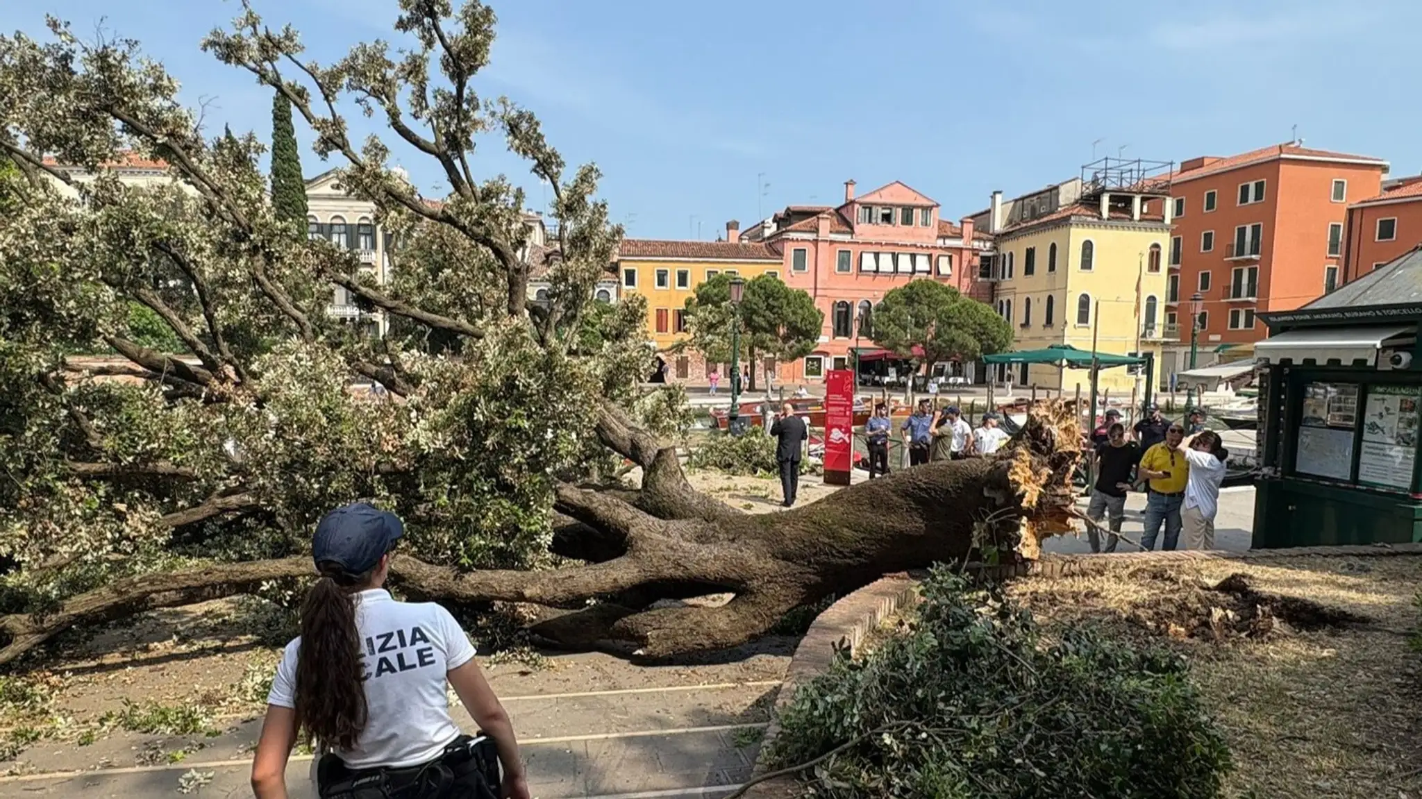 FOTO+VIDEO: Dráma v Benátkach. Turistické námestie sa zmenilo na miesto nešťastia, na skupinu ľudí spadol dub