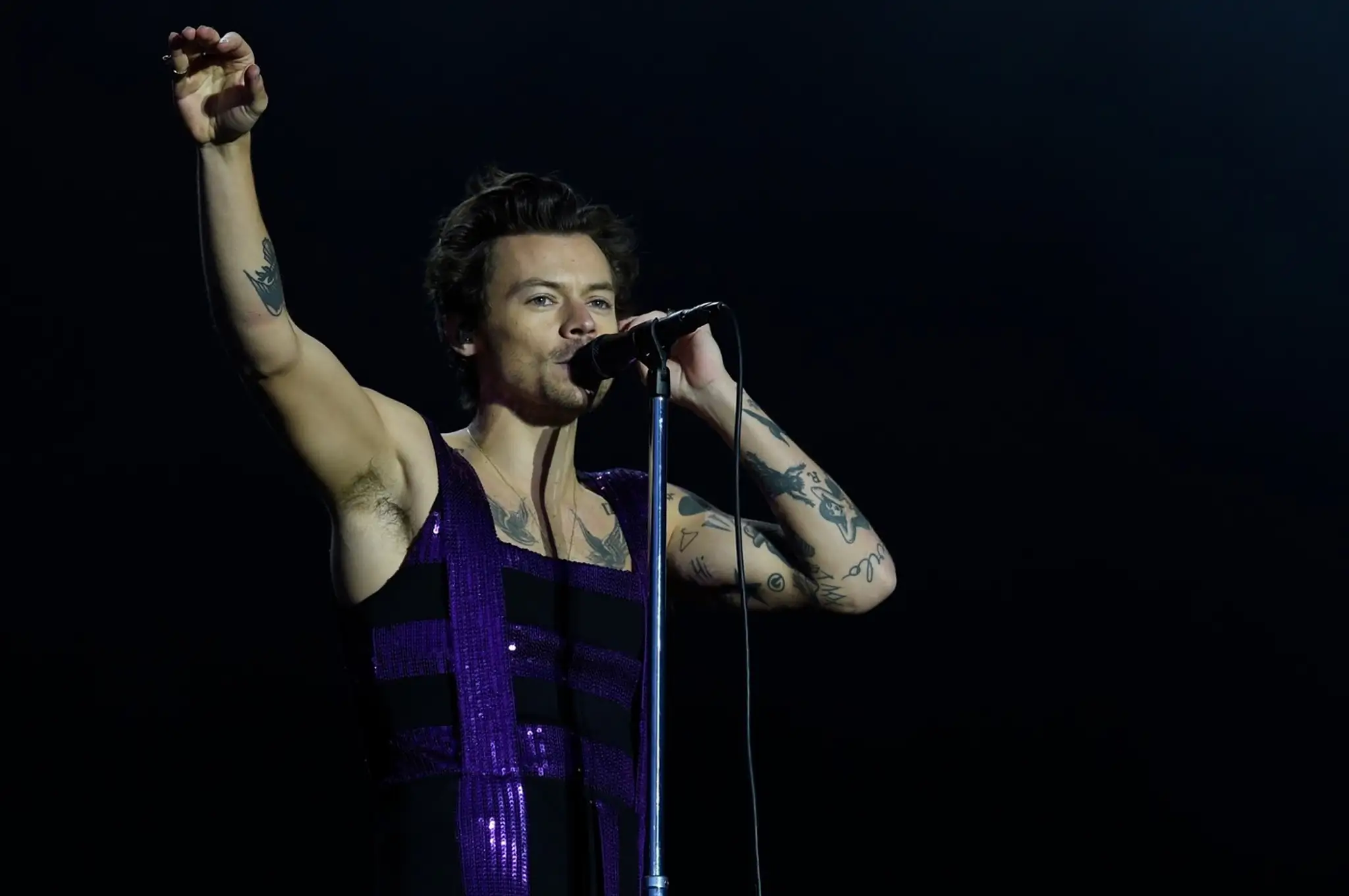 Harry Styles prezradil novinku v jeho rodine.