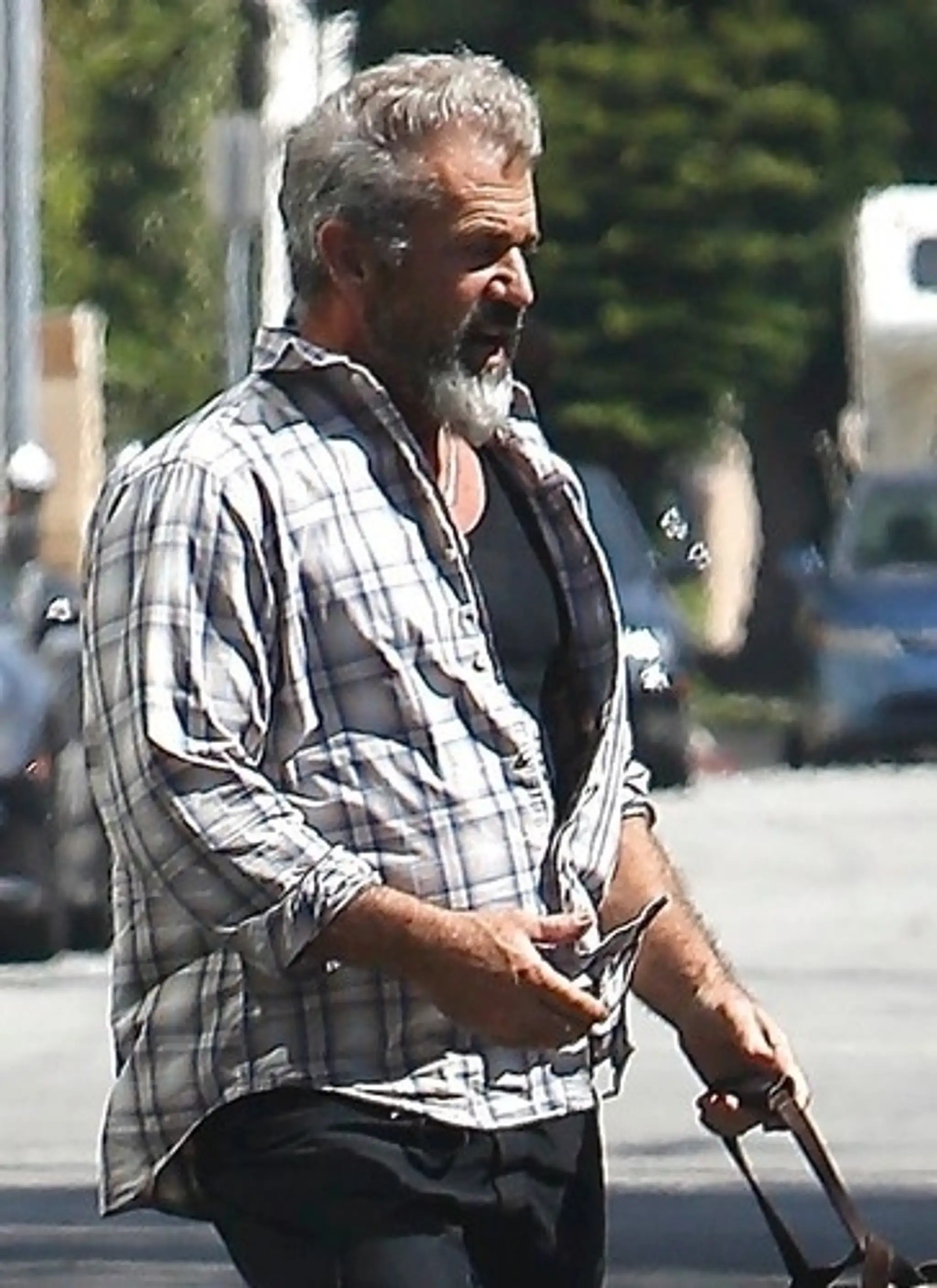 Mel Gibson