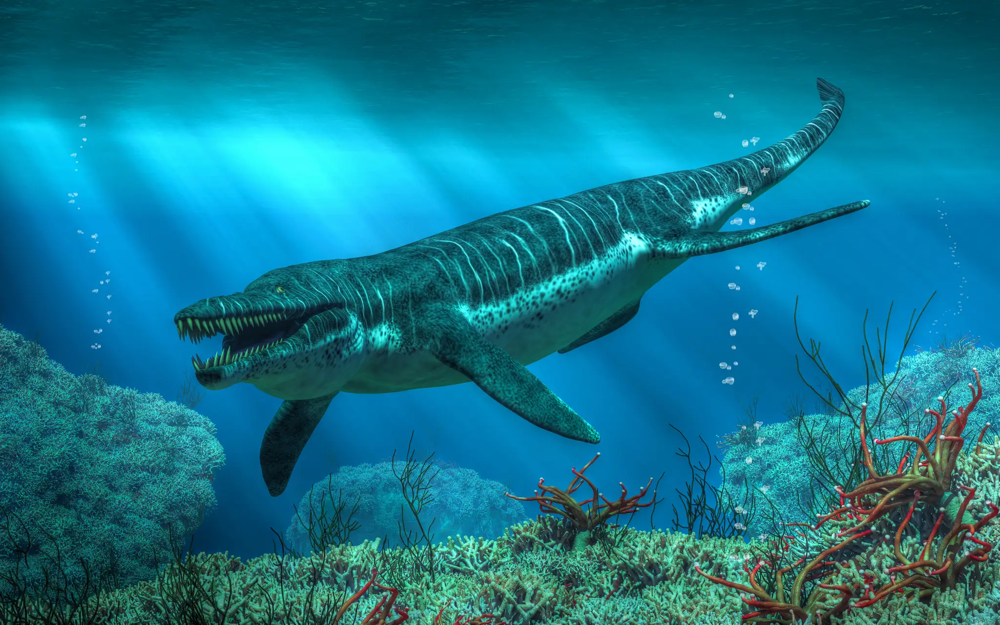 Pliosaurus - vizualizácia.