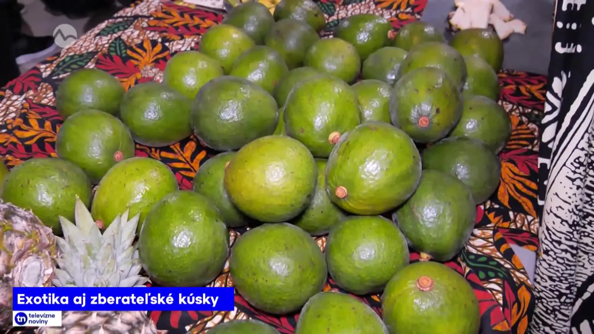2026-10-11-TN-15-Exotika-aj-zberatelske-kusky