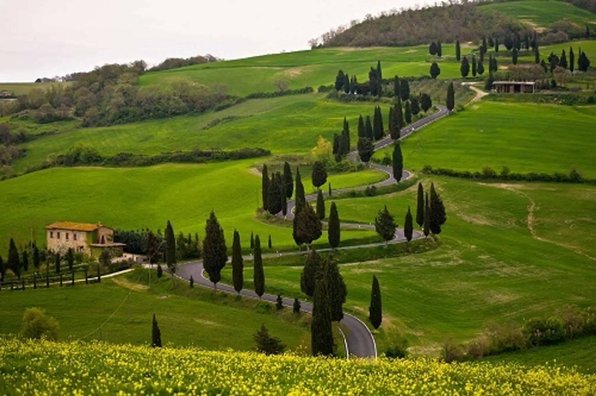 toscana31.jpg