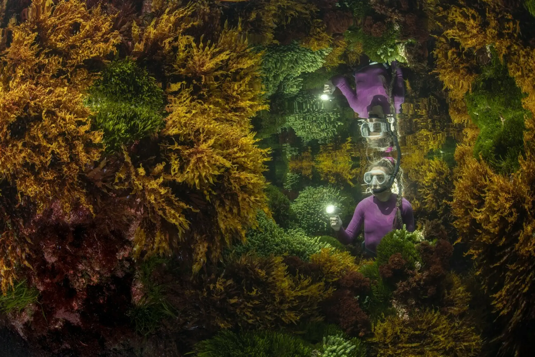 Justin GilliganWildlife Photographer of the Year.jpg