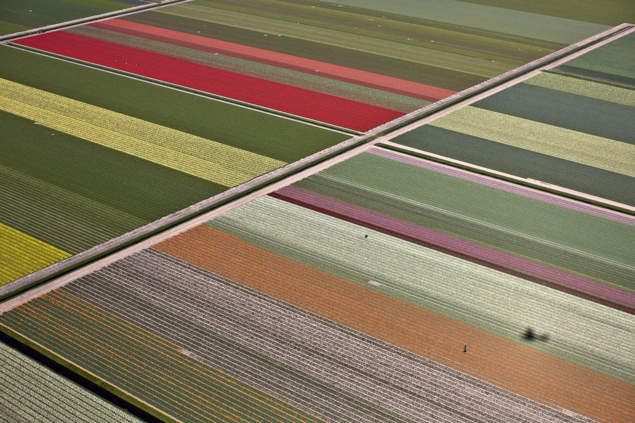 Netherlands_Daily_Life366429347159.jpg