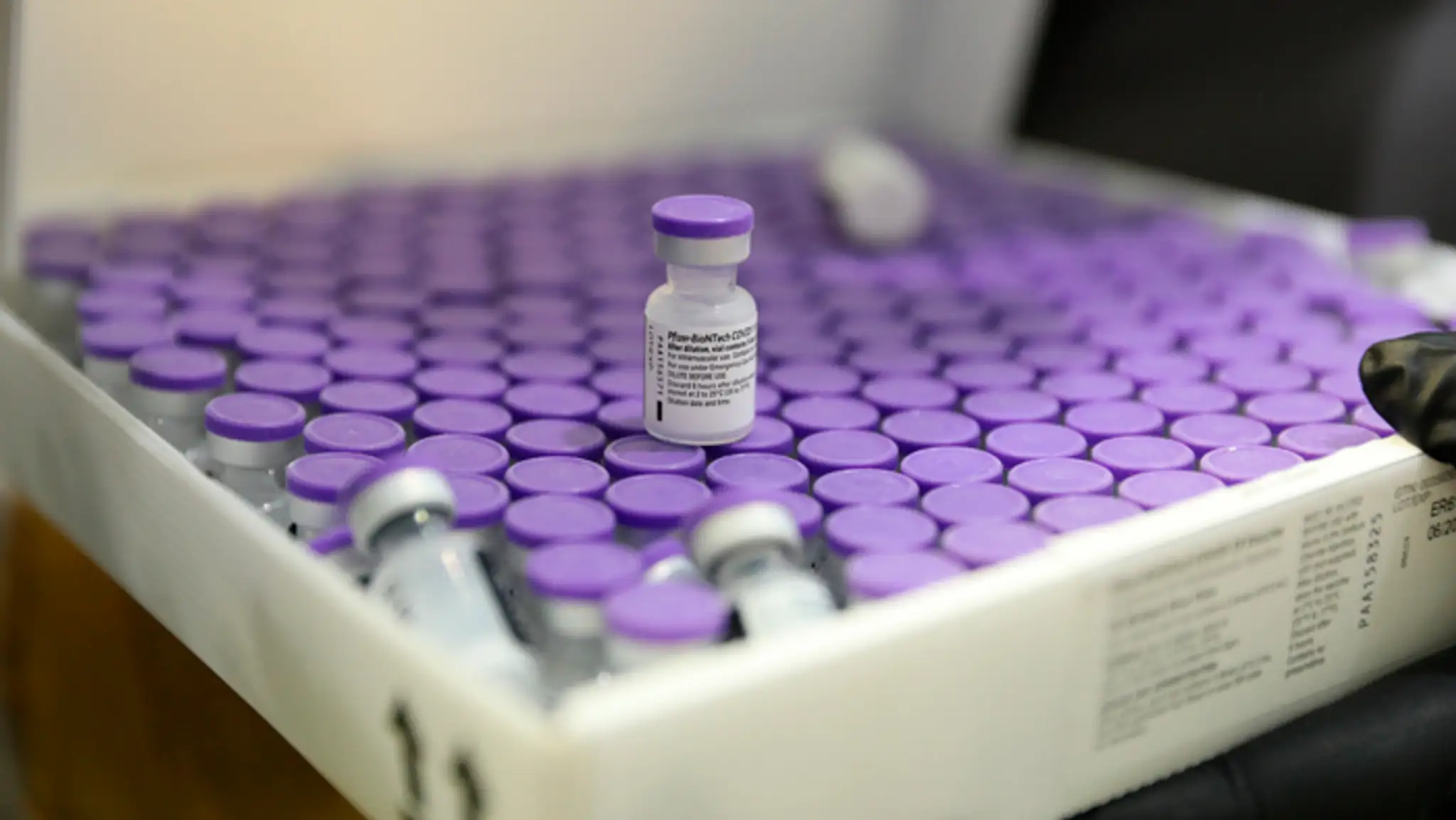 Ampulky s vakcínami od konzorcia Pfizer-BioNtech.