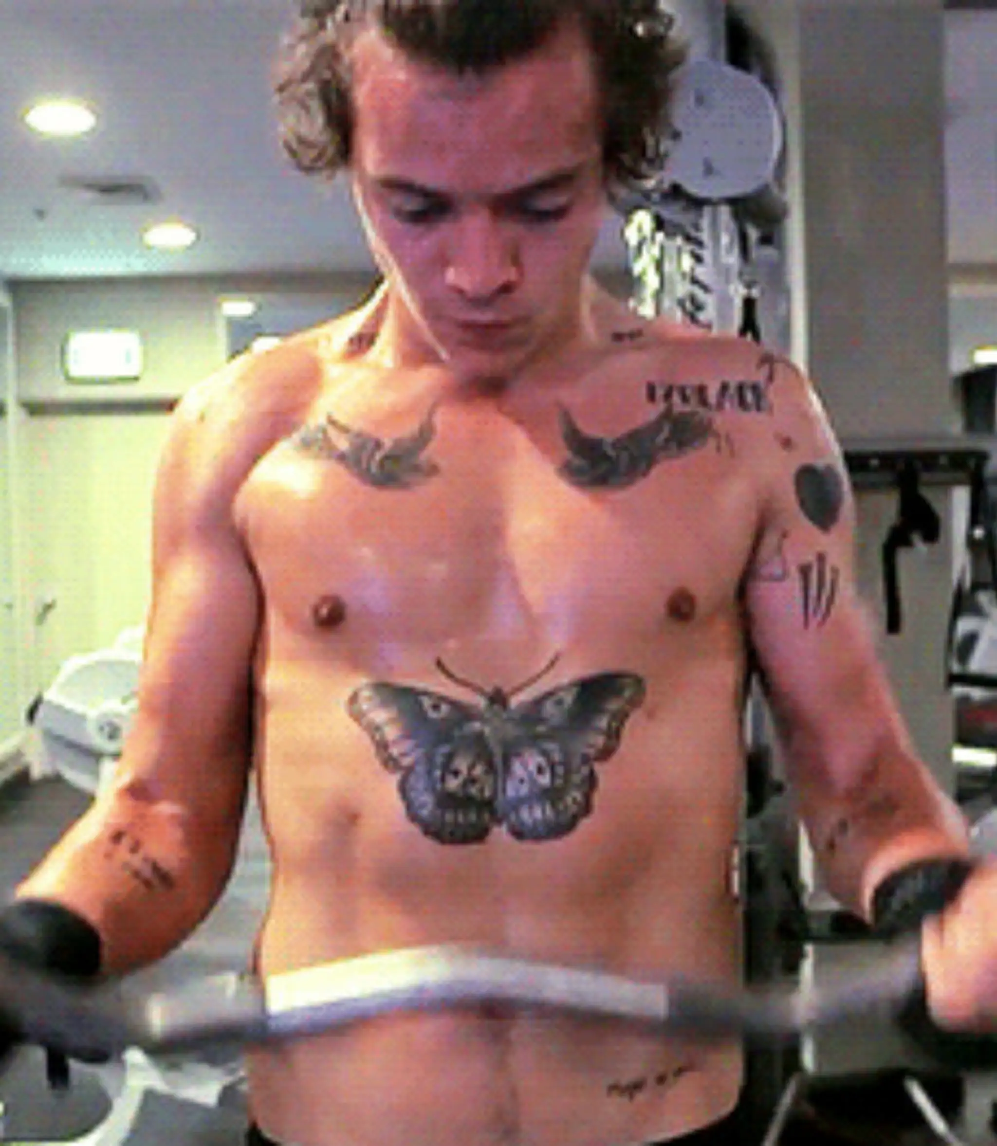 harry.jpg