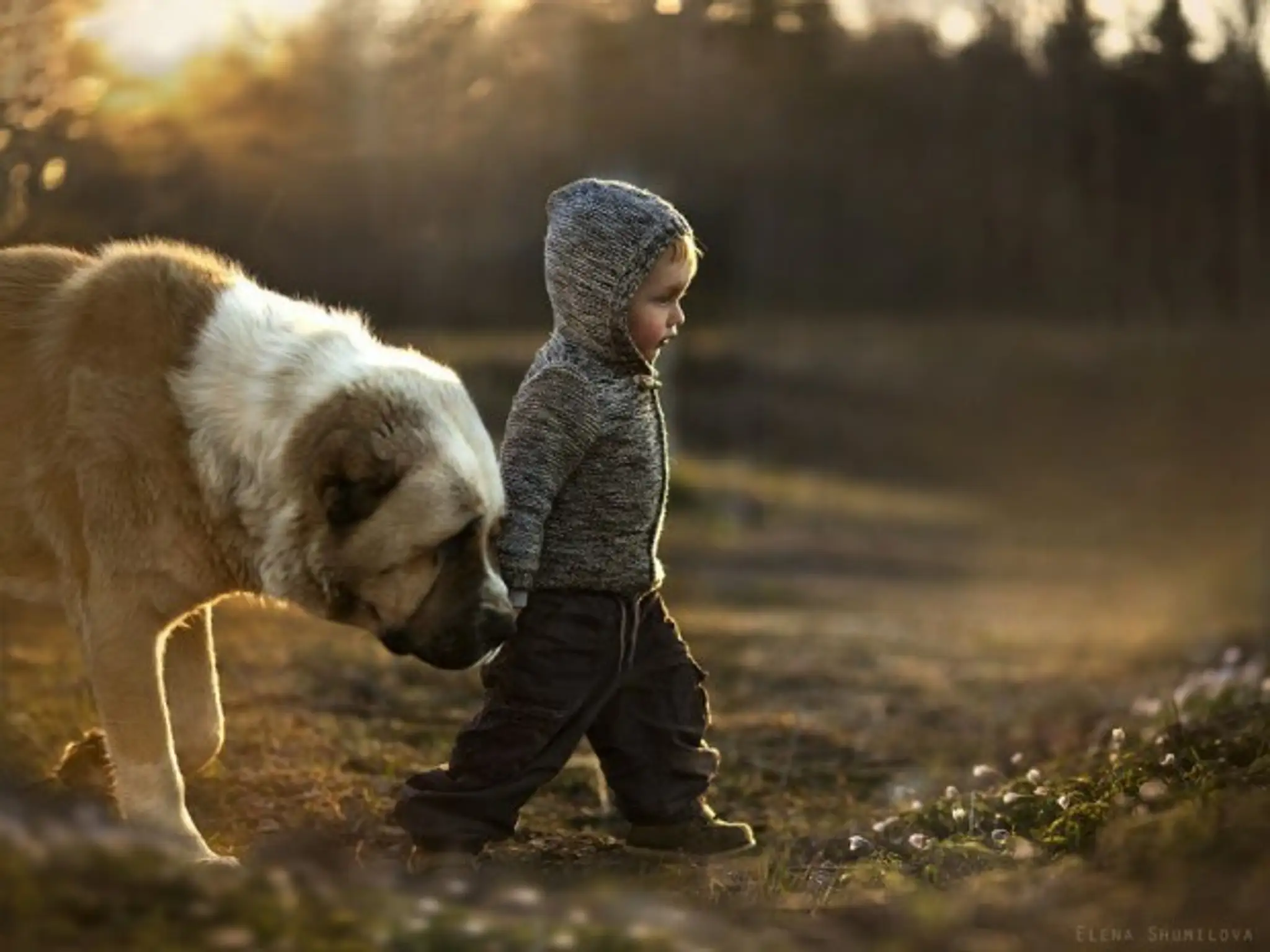 animal-children-photography-elena-shumilova-18-620x465.jpg