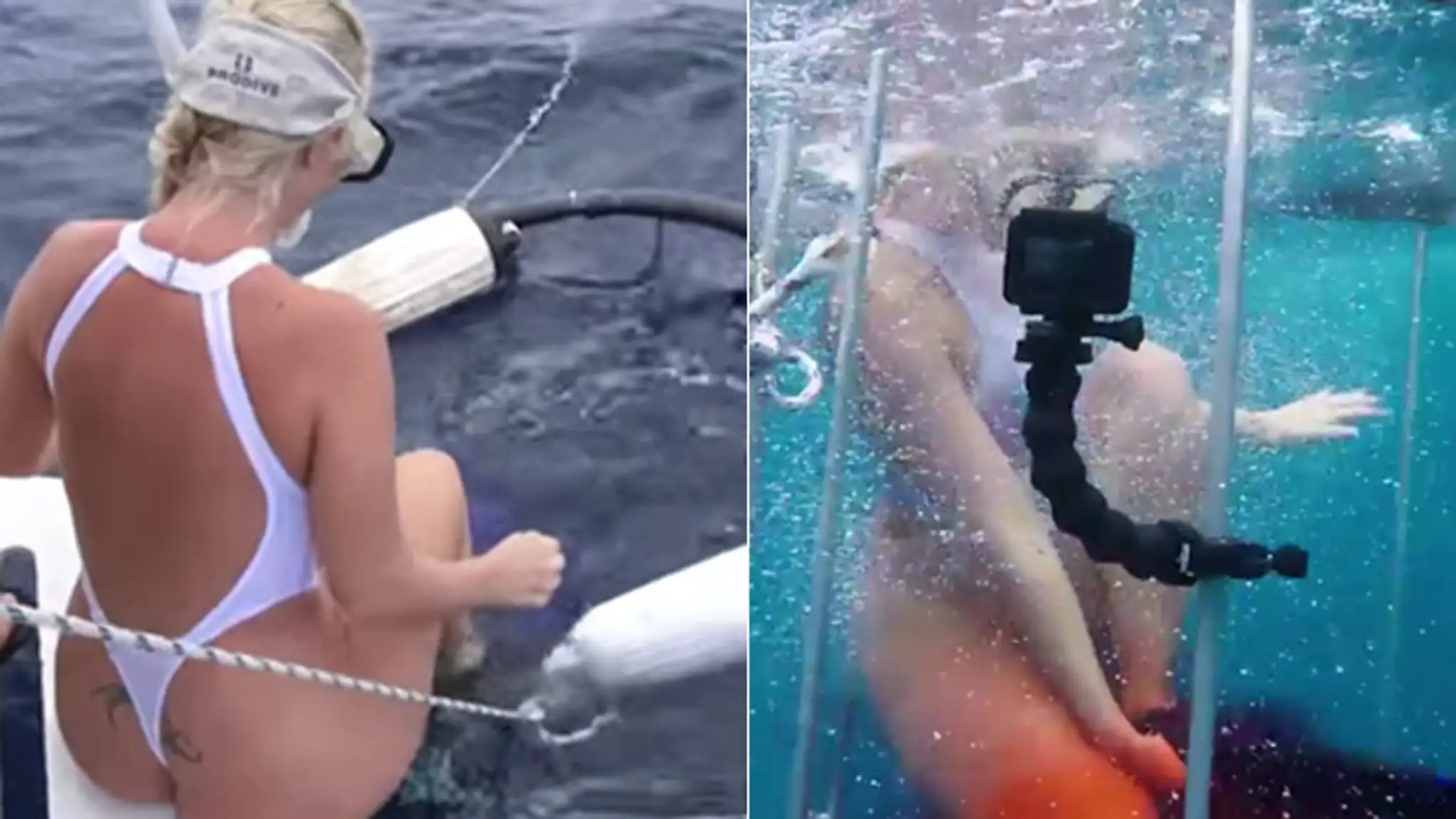 Pornohviezda skočila medzi žralokov. Zaliala ju krv