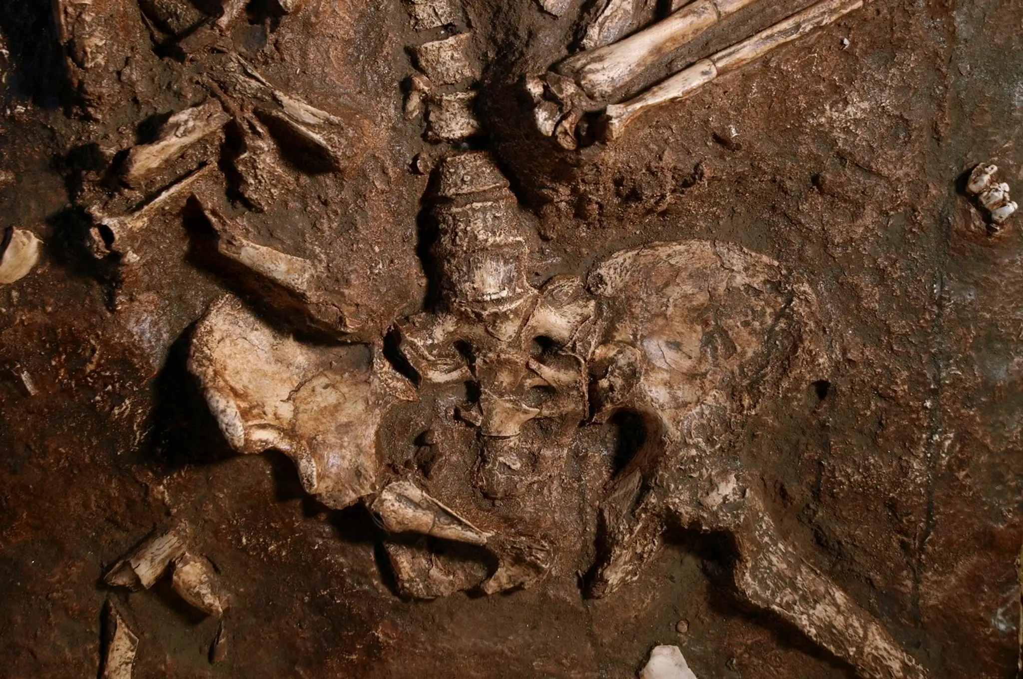 Fosília neandertálca, ktorý žil pred 60-tisíc rokmi v jaskyni na území dnešného Izraela.