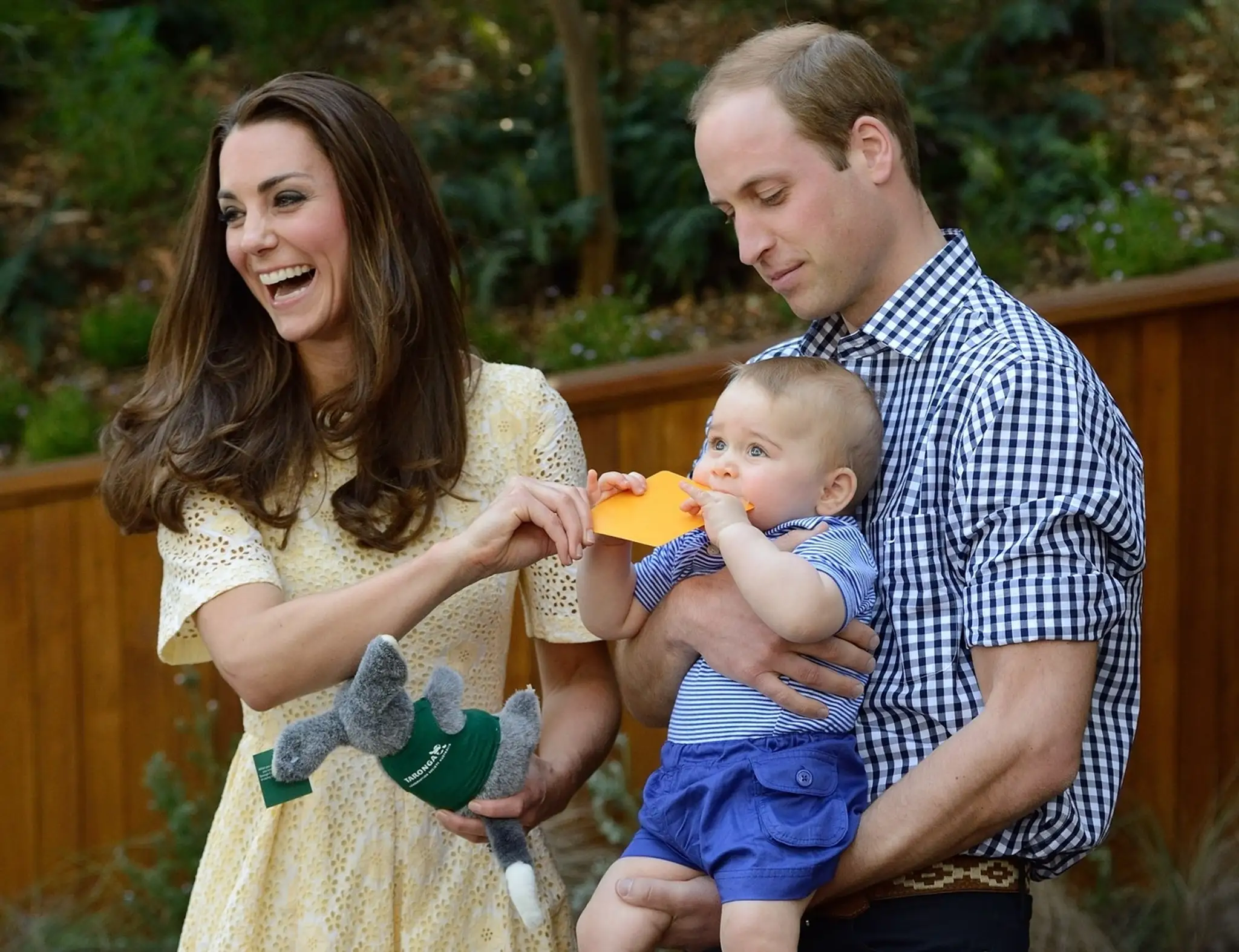 Princ William