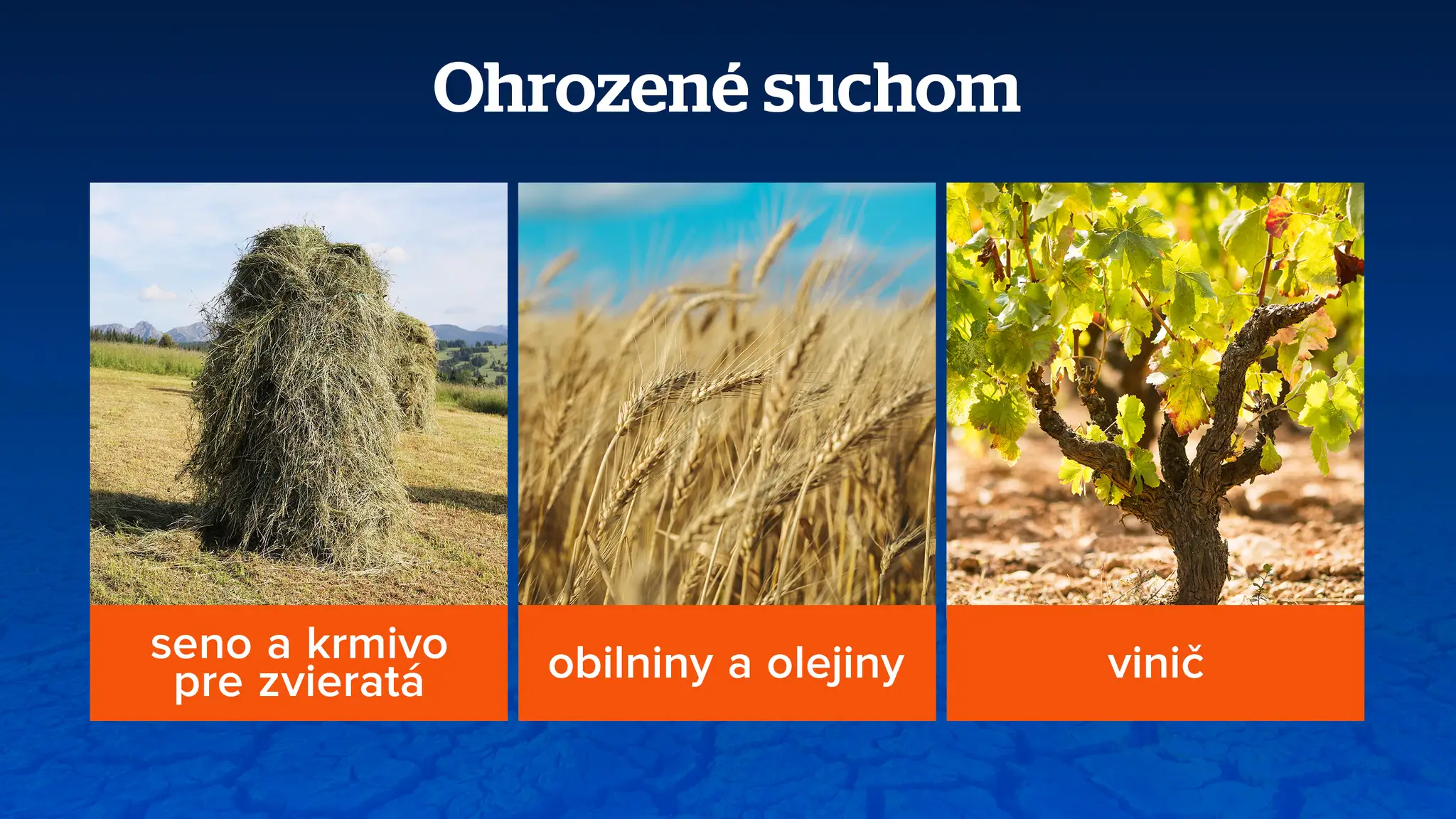 Ohrozené suchom