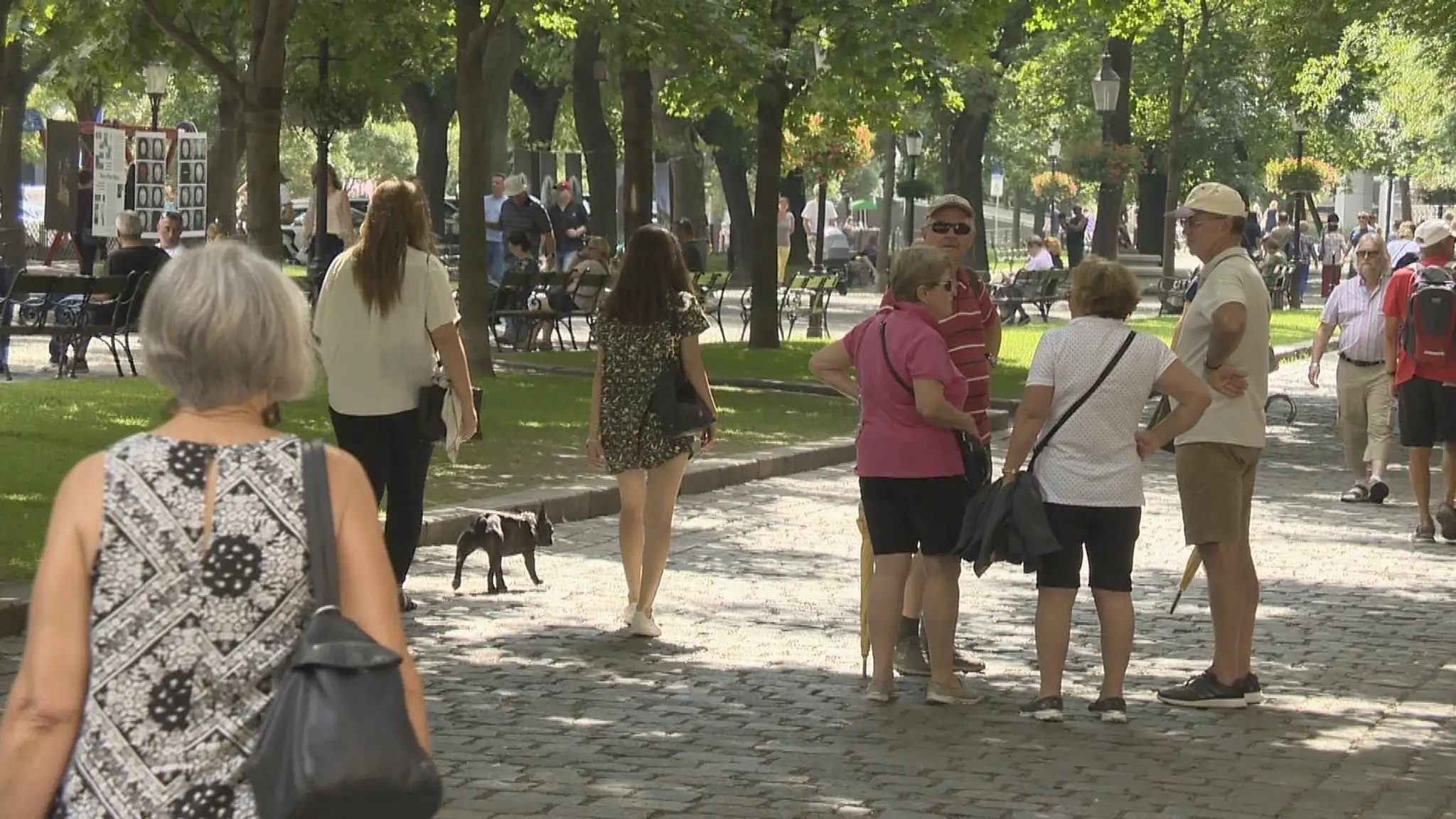 Ilustračná snímka.