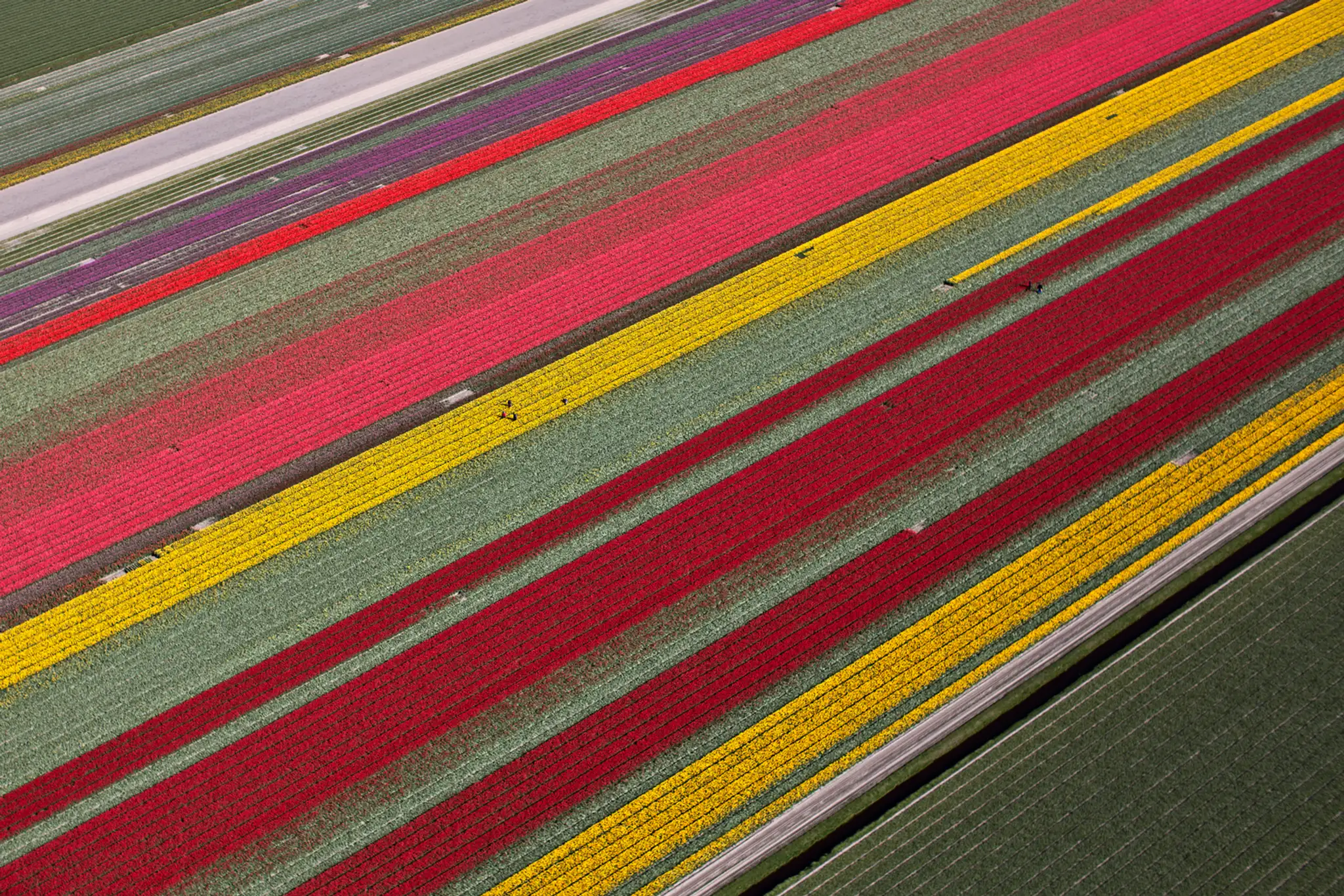 Netherlands_Daily_Life366409347151.jpg
