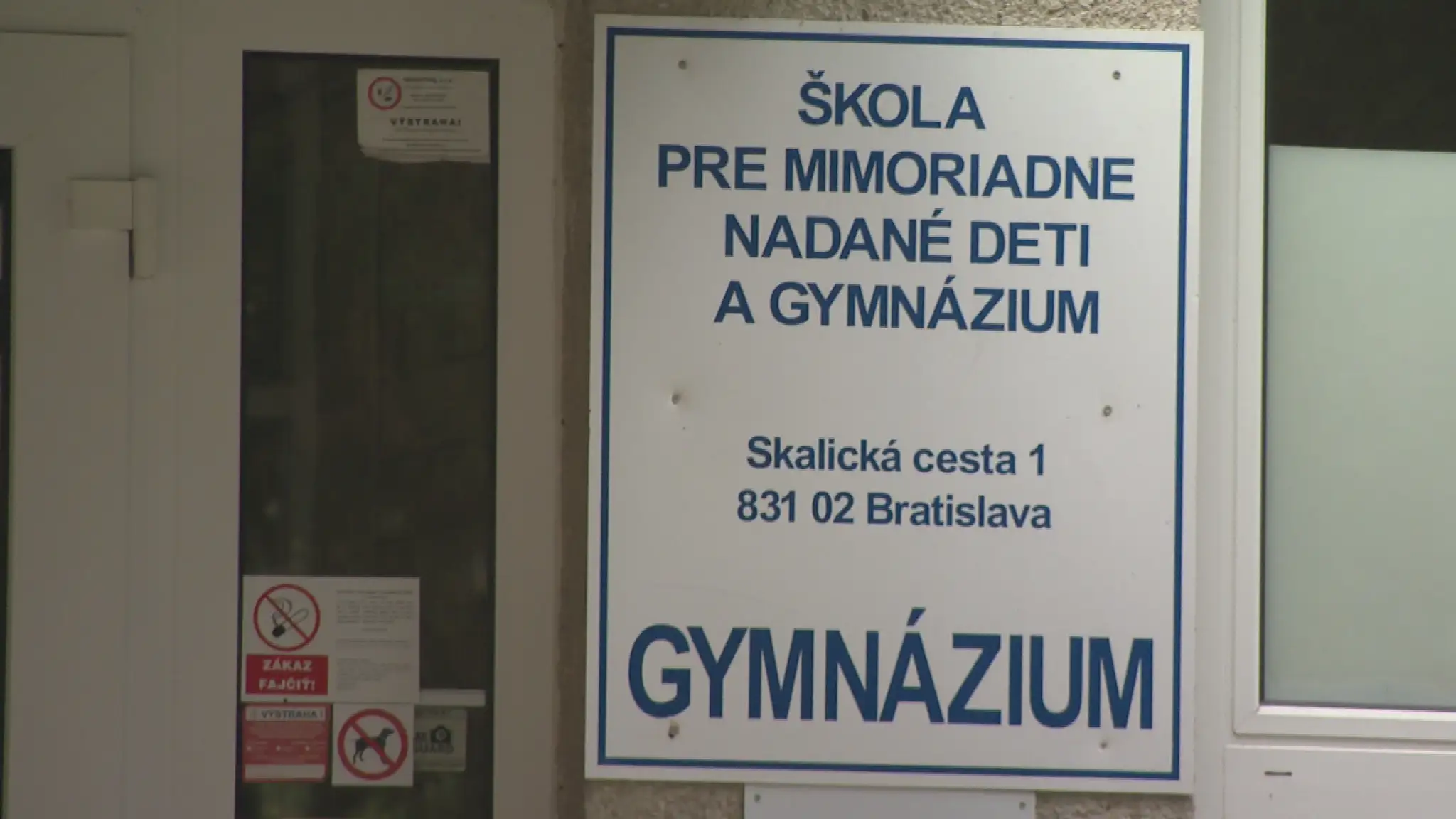 19 Problemovy mladik .transfer.jpg_bez_watermarku_1.1