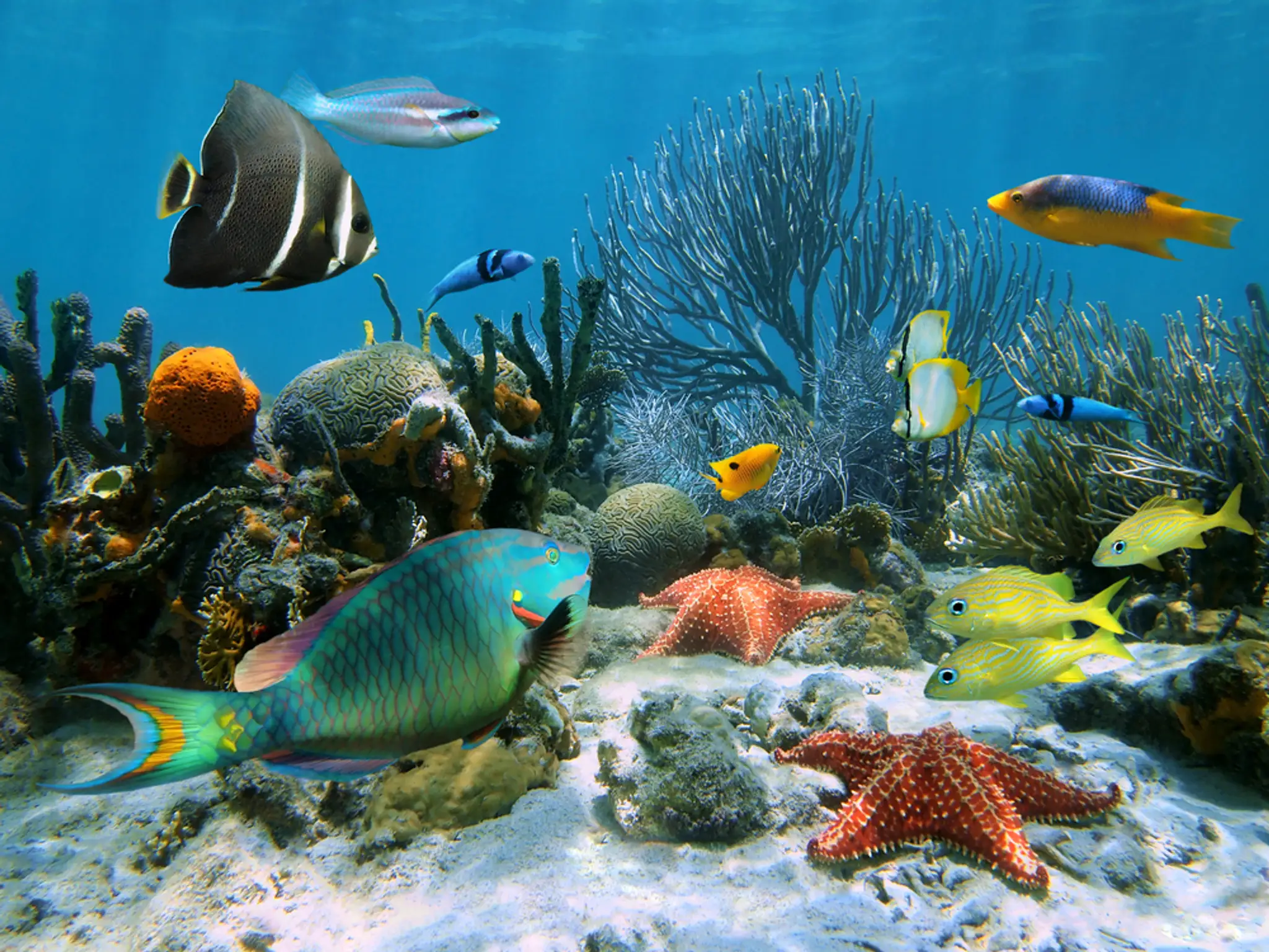 shutterstock_106945244.jpg