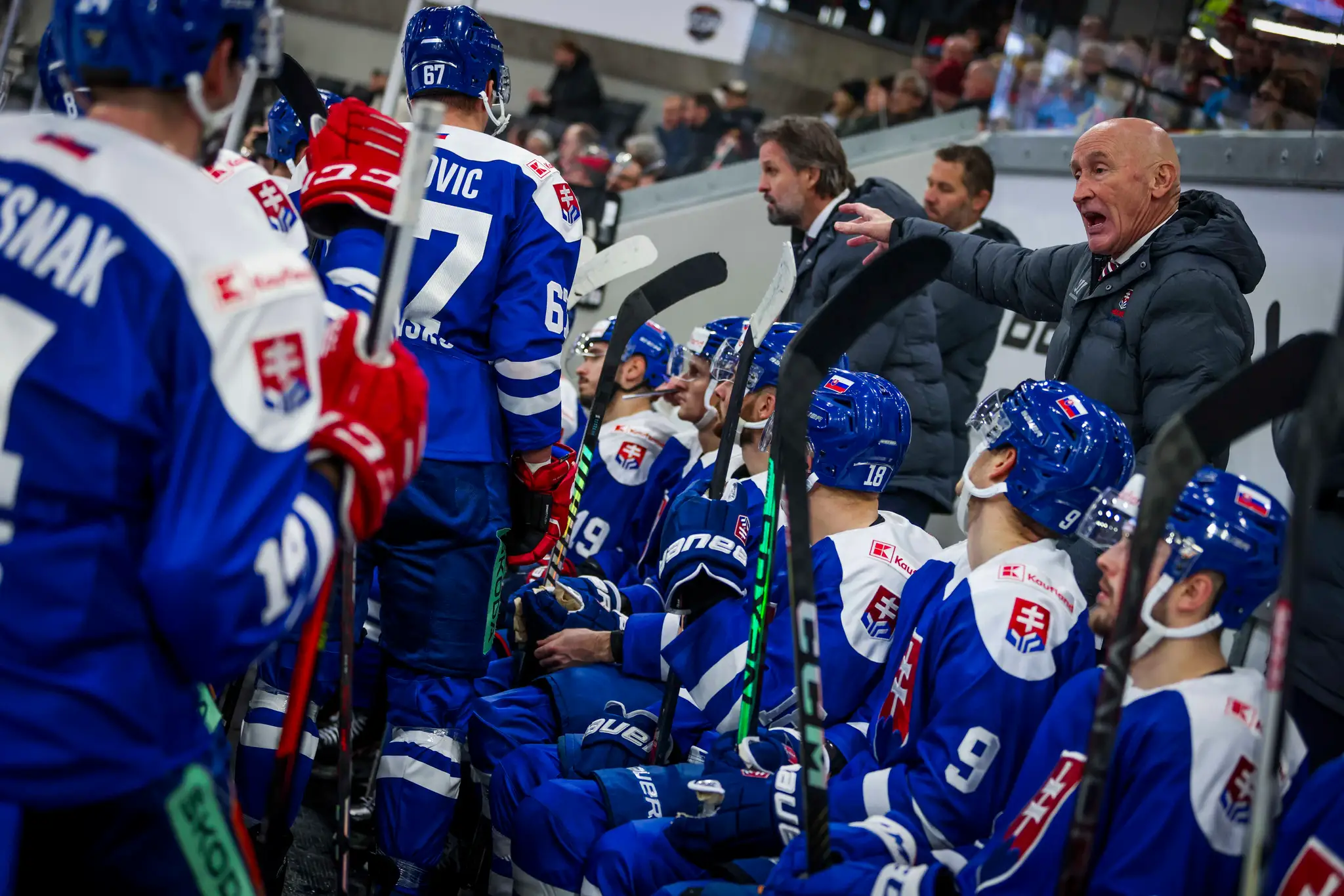 Na snímke vpravo hore tréner slovenskej reprezentácie Craig Ramsay v zápase Slovensko - Dánsko.