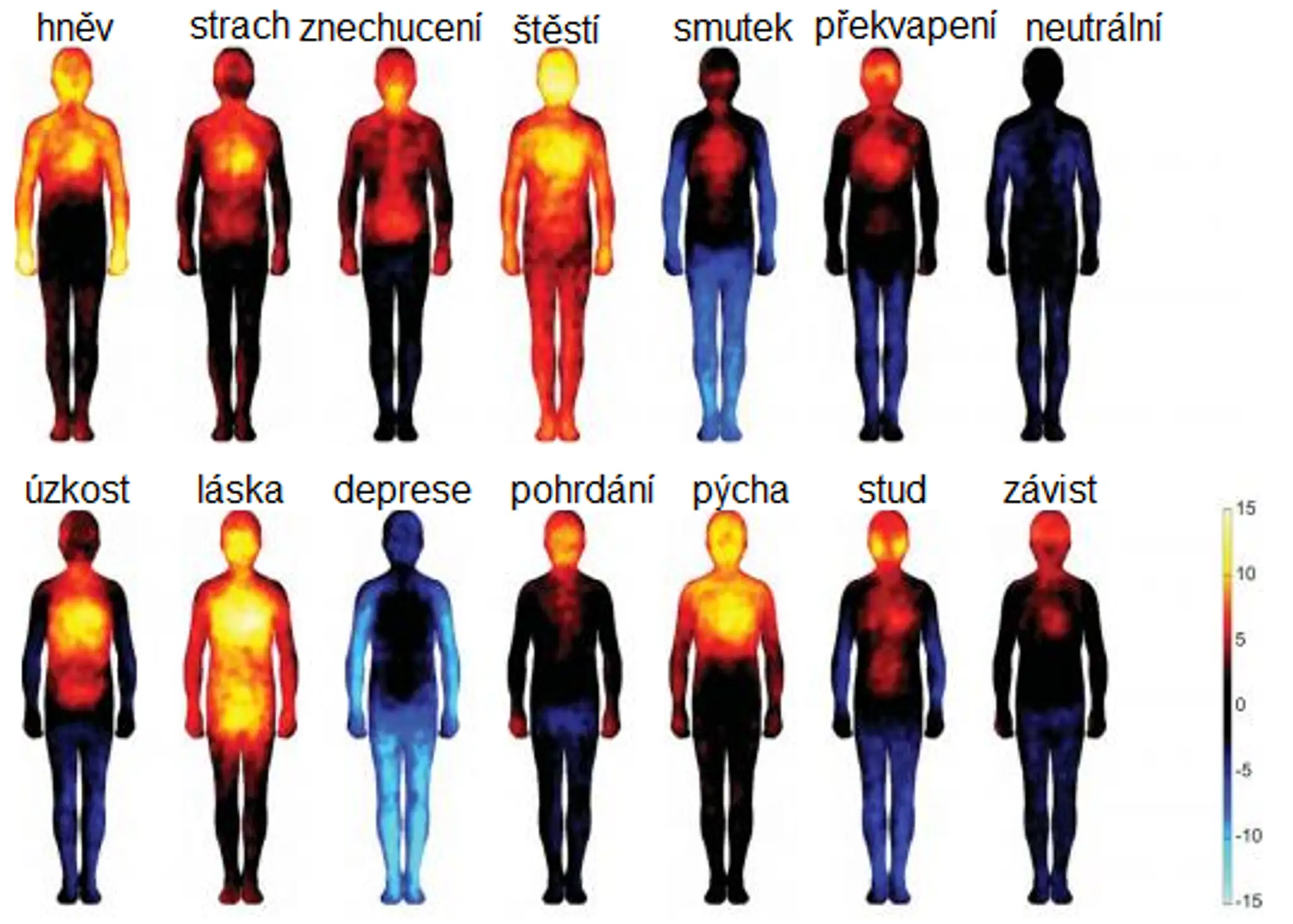 Ako pôsobia emócie na naše telo