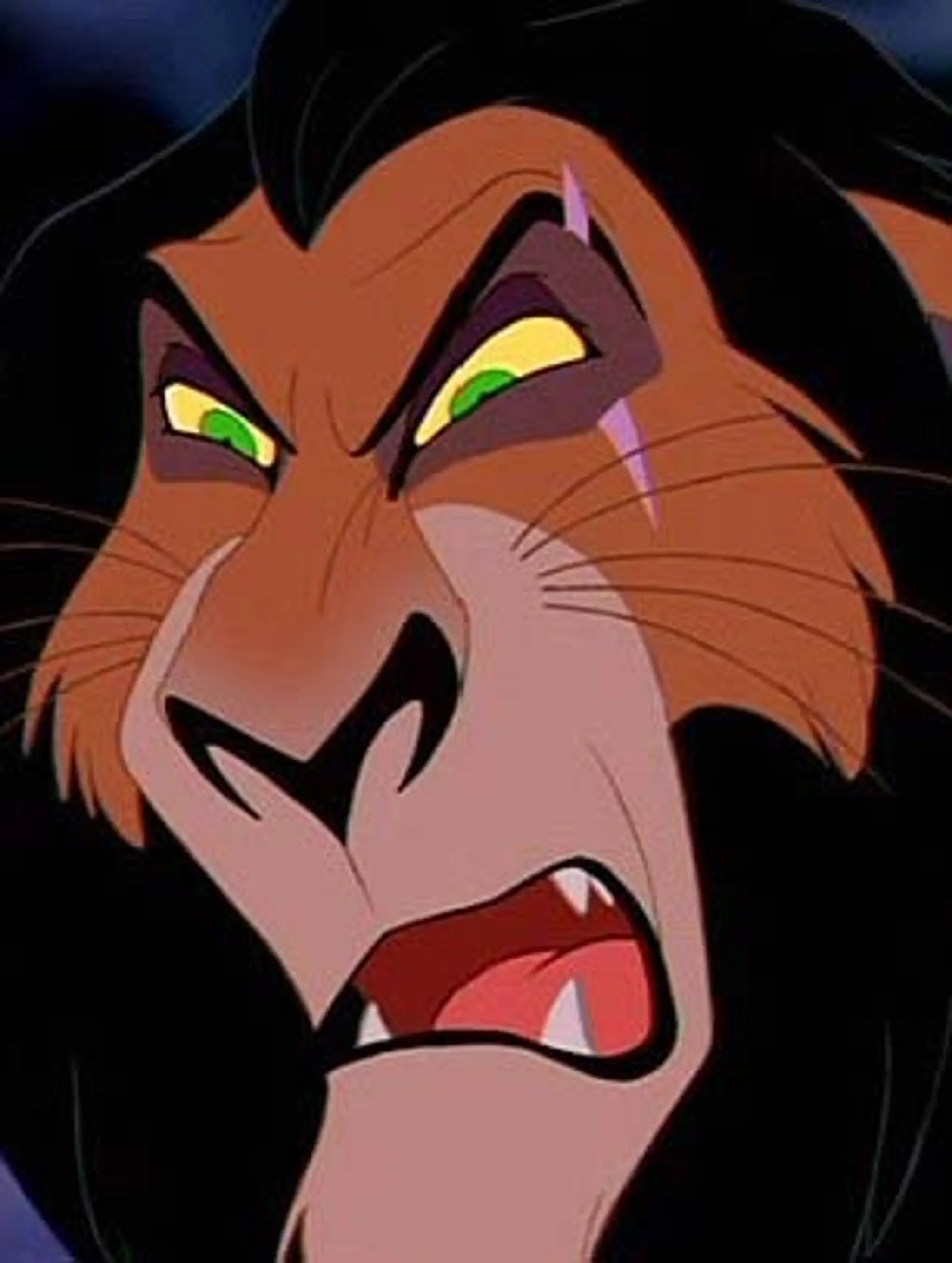 scar2.jpg
