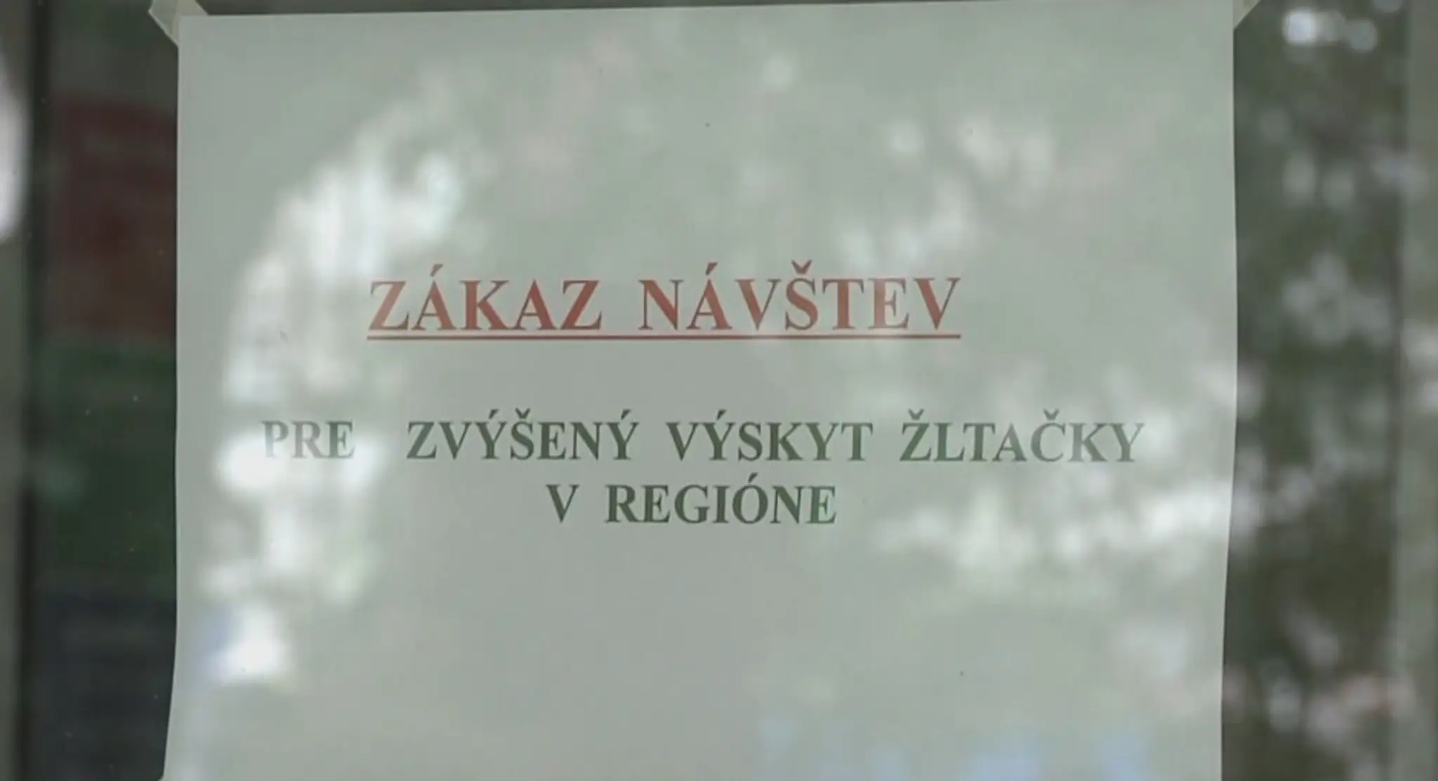 Žltačka v Bratislave
