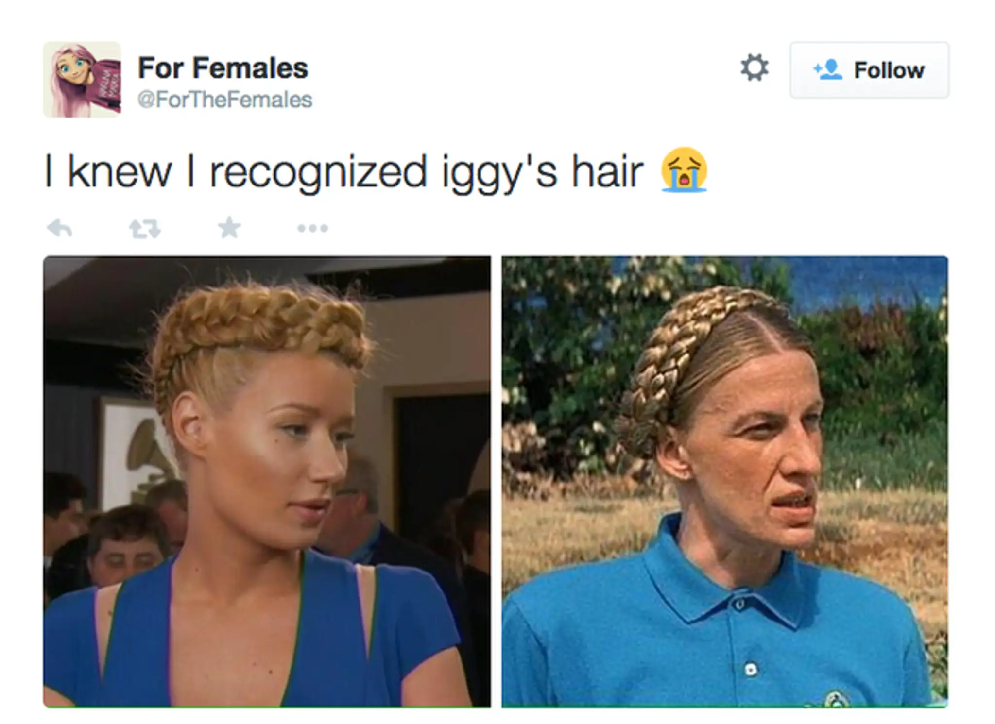 iggy.png