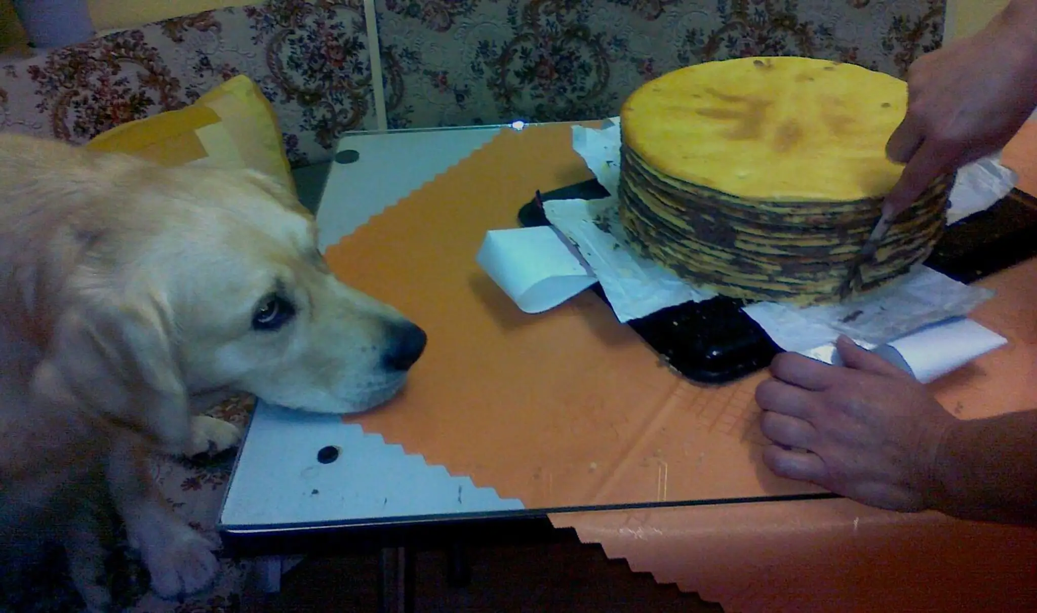Heidi a torta