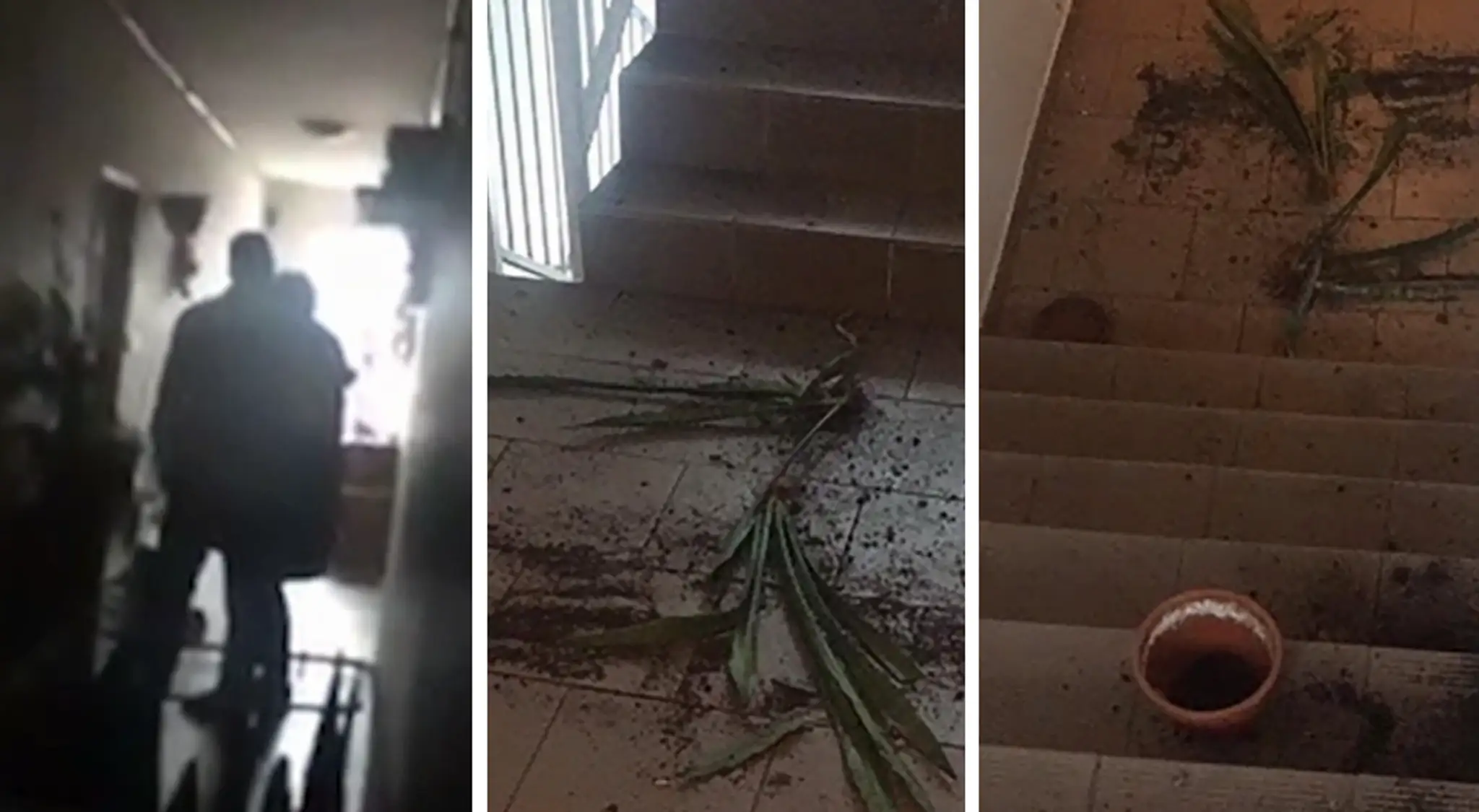 Policajt rozhádzal kvety a nakričal na dôchodkyňu