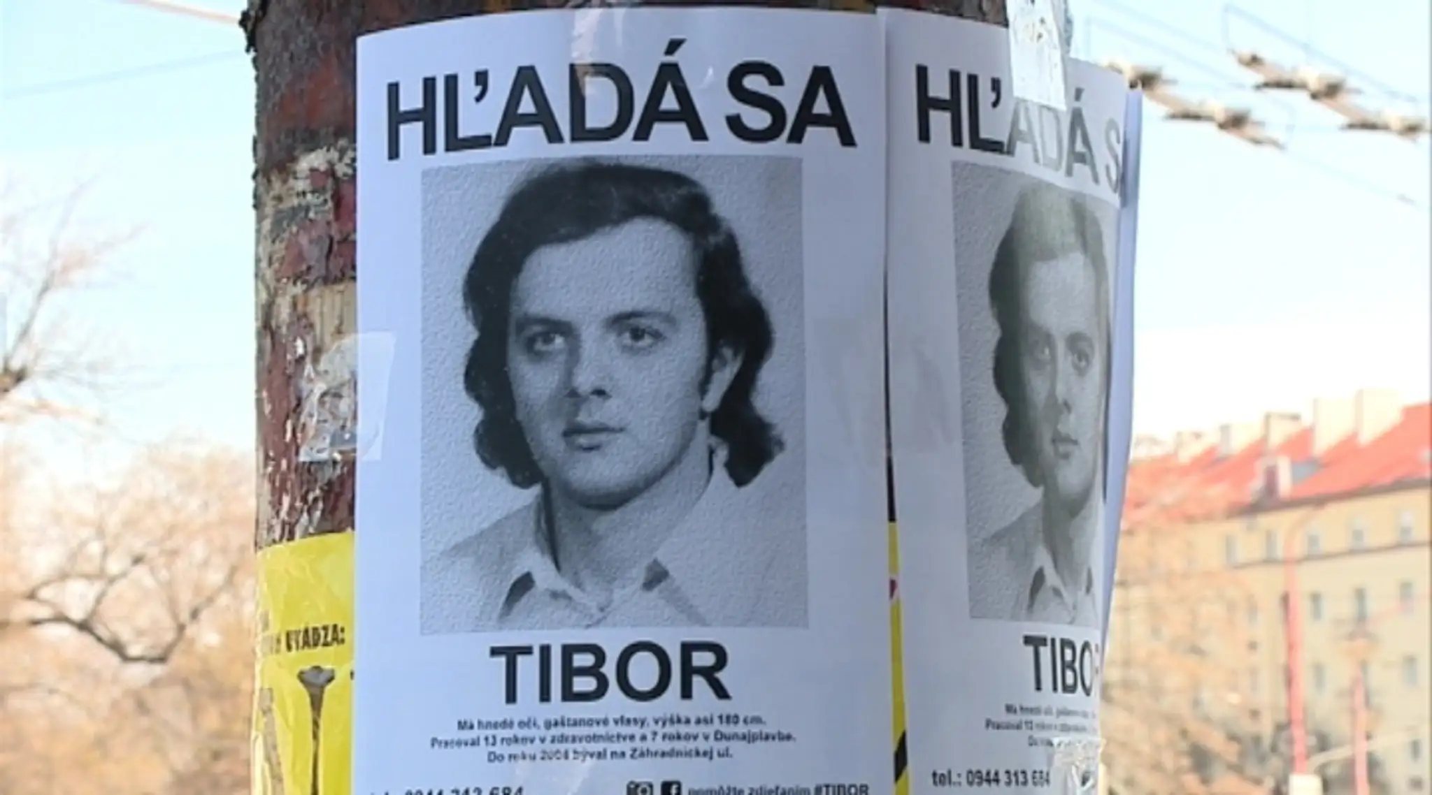 Hladá sa Tibor - plagát na stĺpe v Bratislave