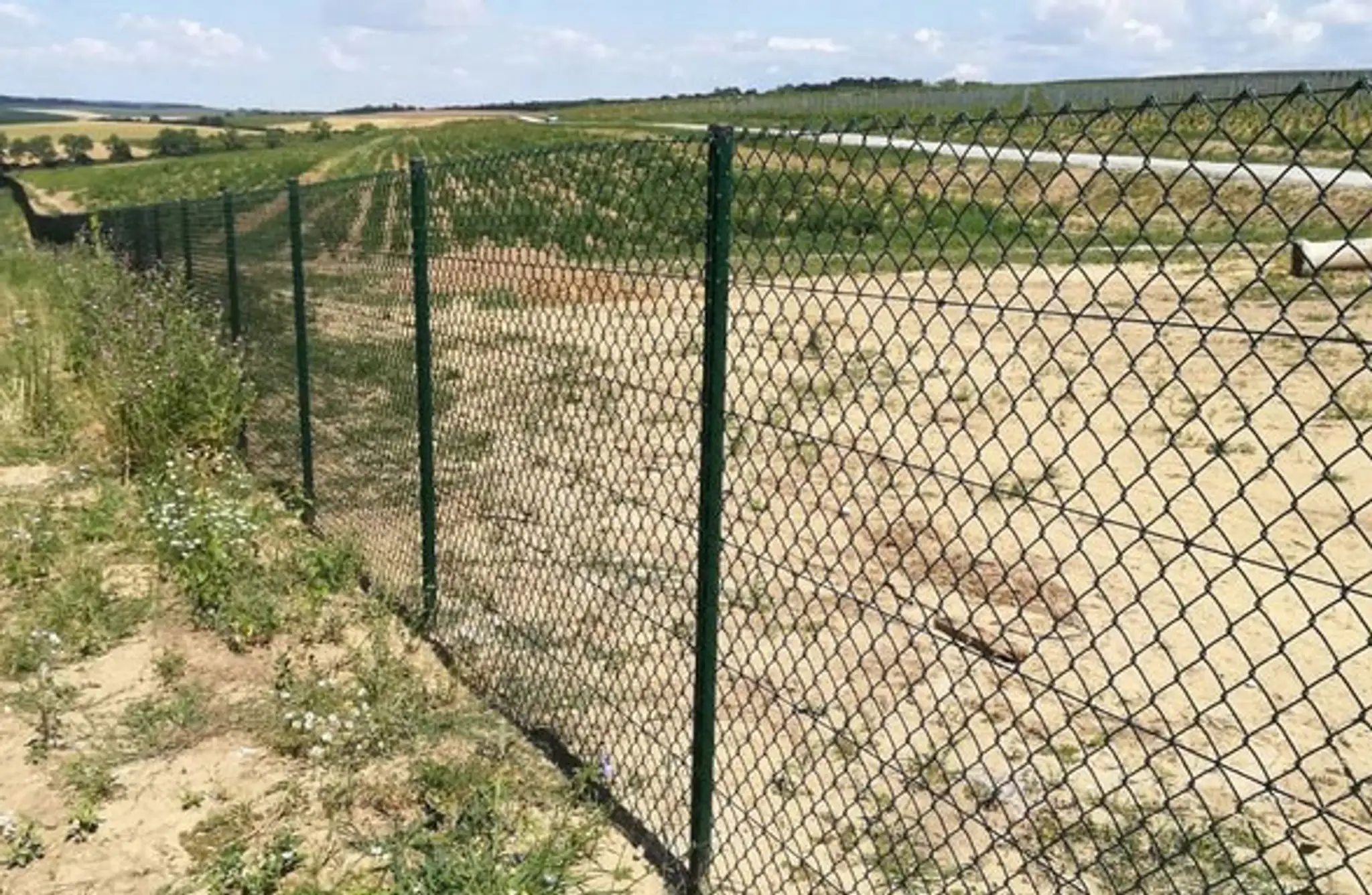 Pletivové ploty pre veľké a otvorené pozemky