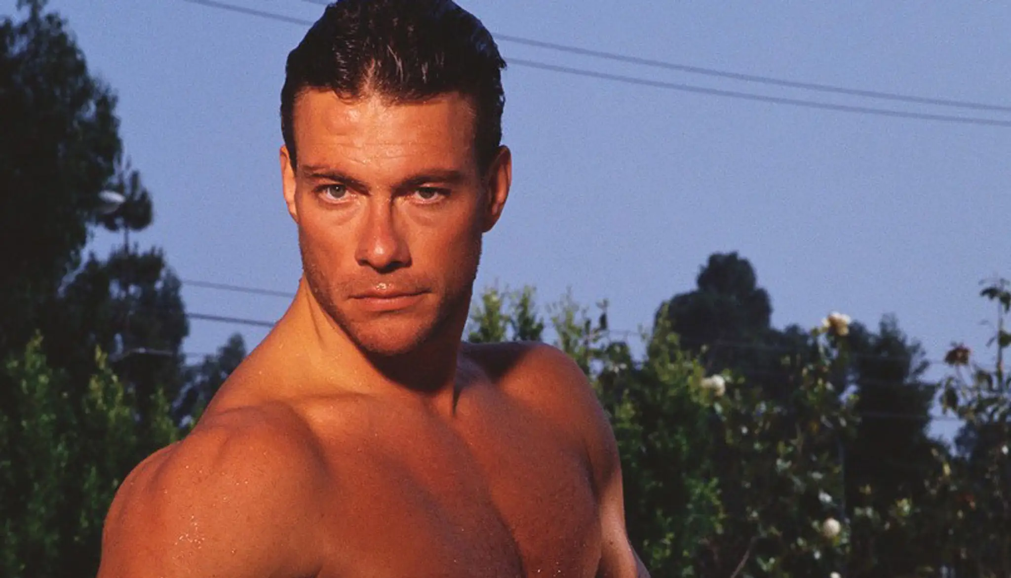 van damme3.jpg