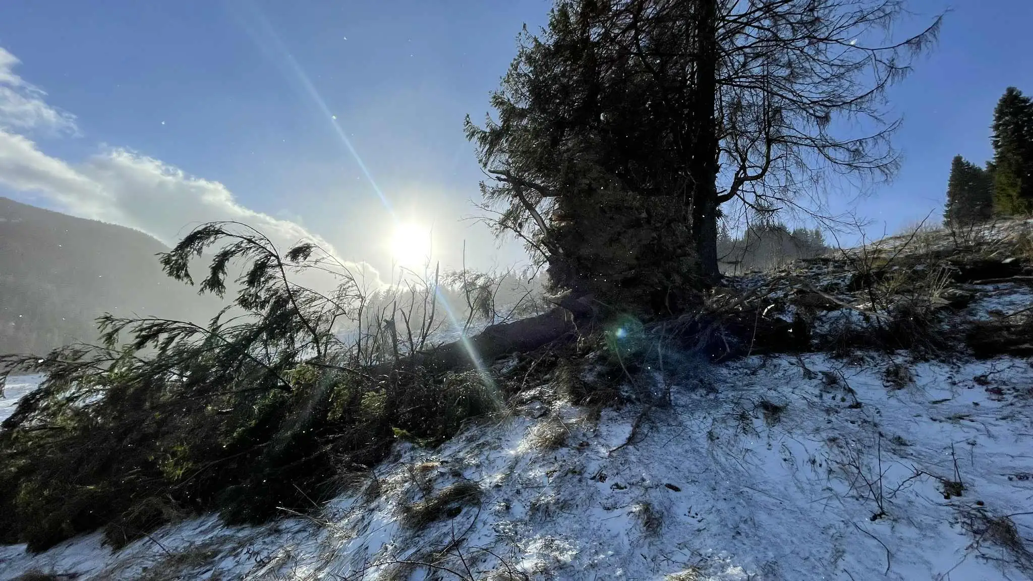 Silný vietor napáchal škody v SKI Resorte Smrečiny.