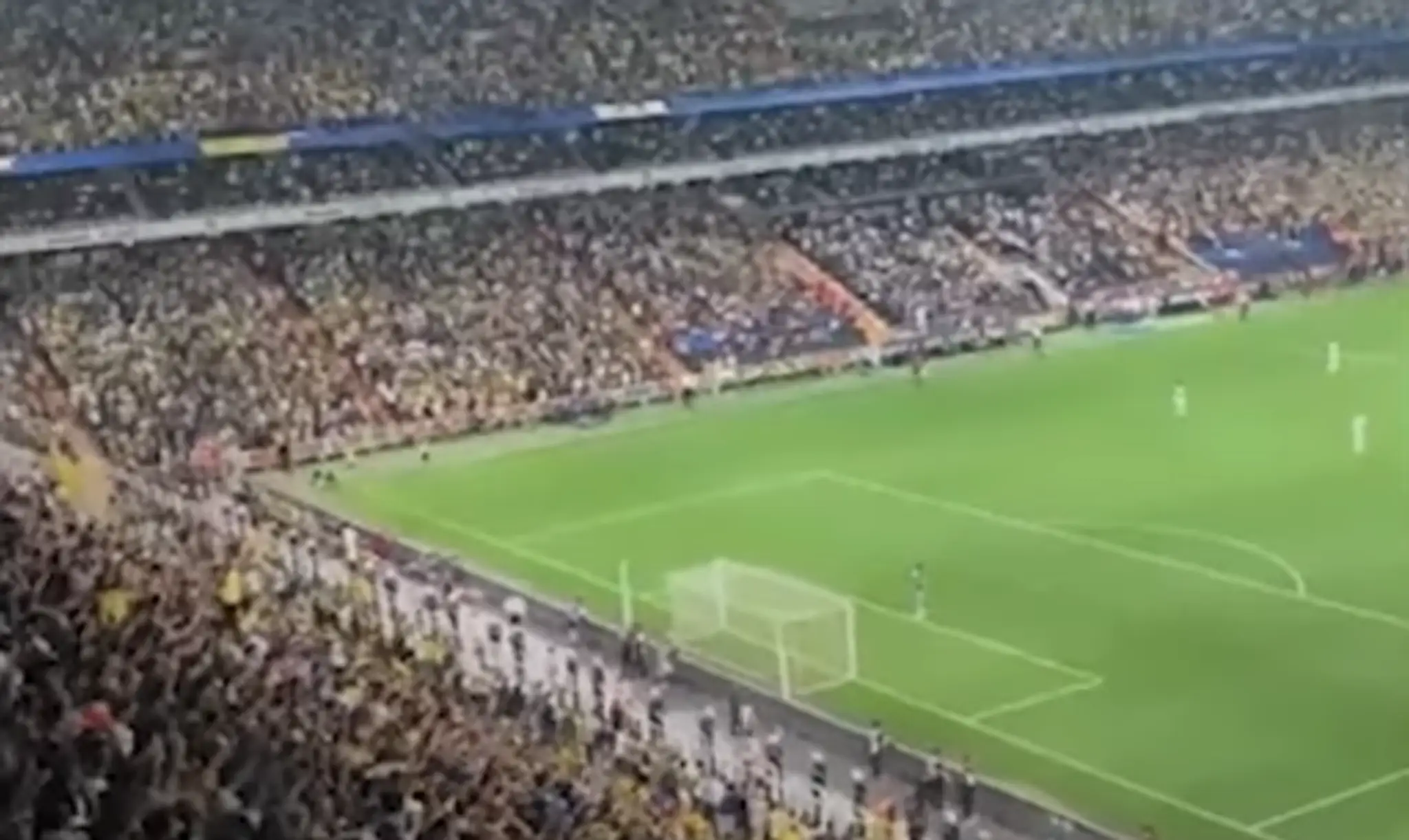 Priaznivci Fenerbahce.