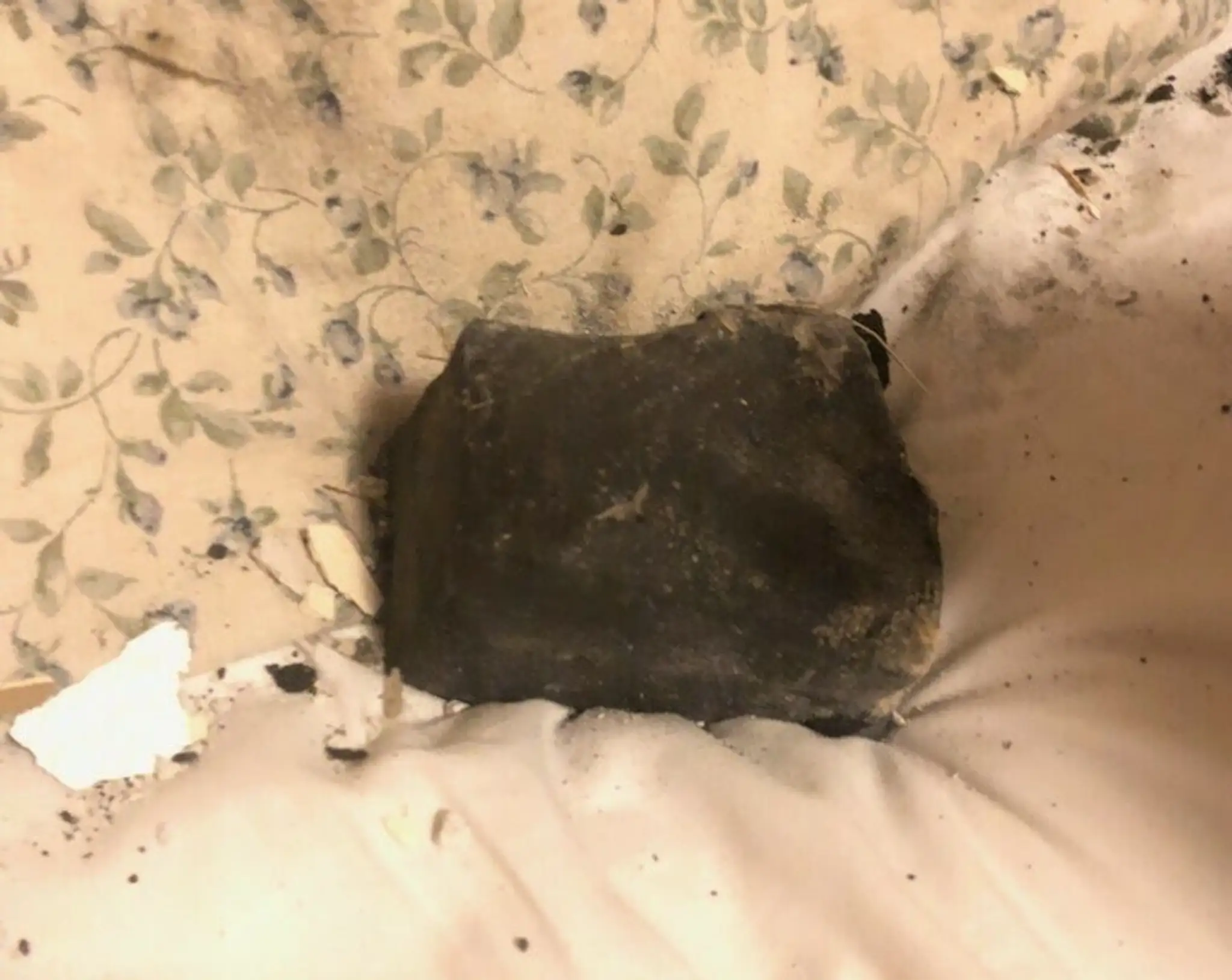 Žene do postele dopadol meteorit