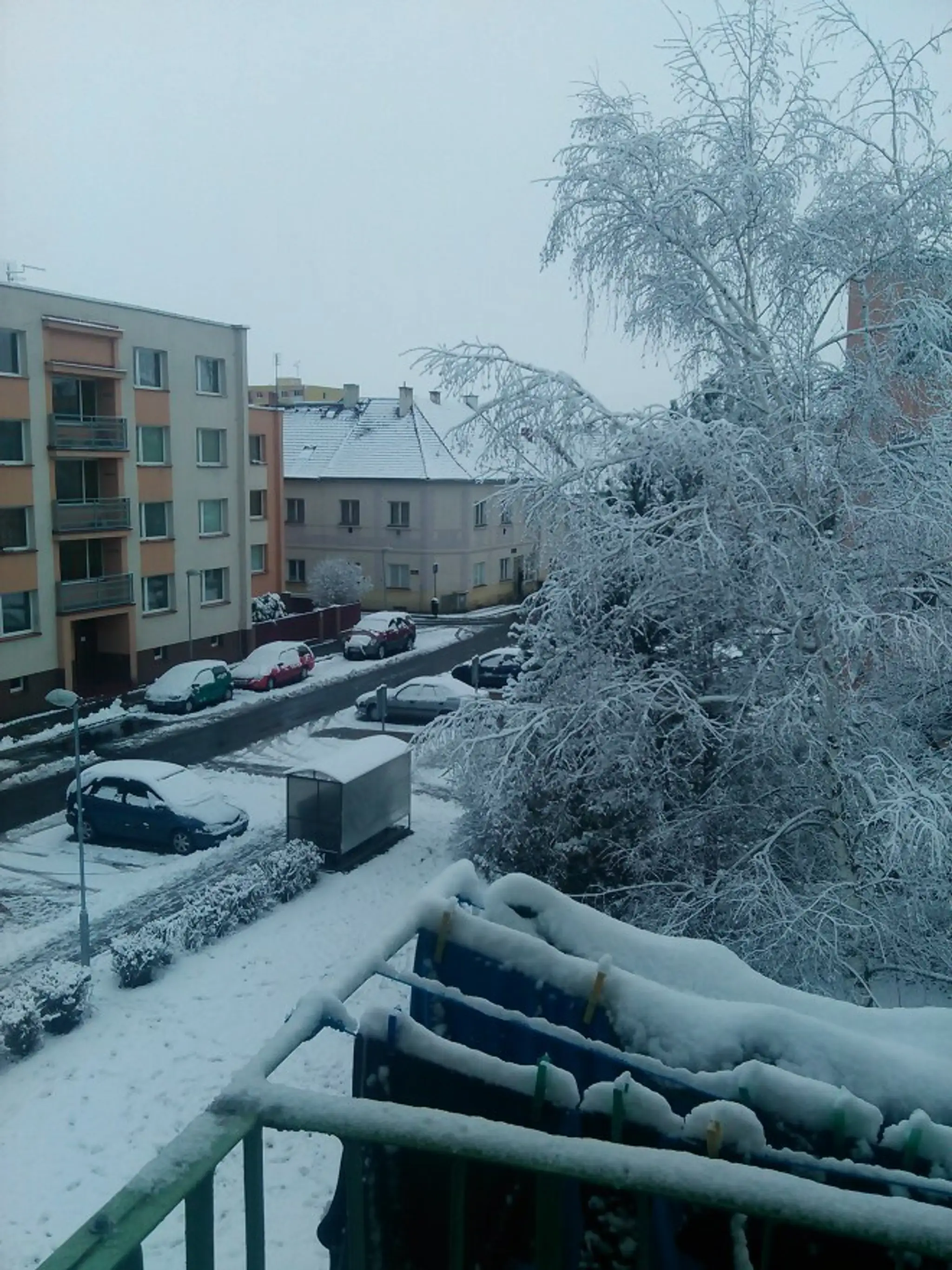 Snehová kalamita v Česku. 