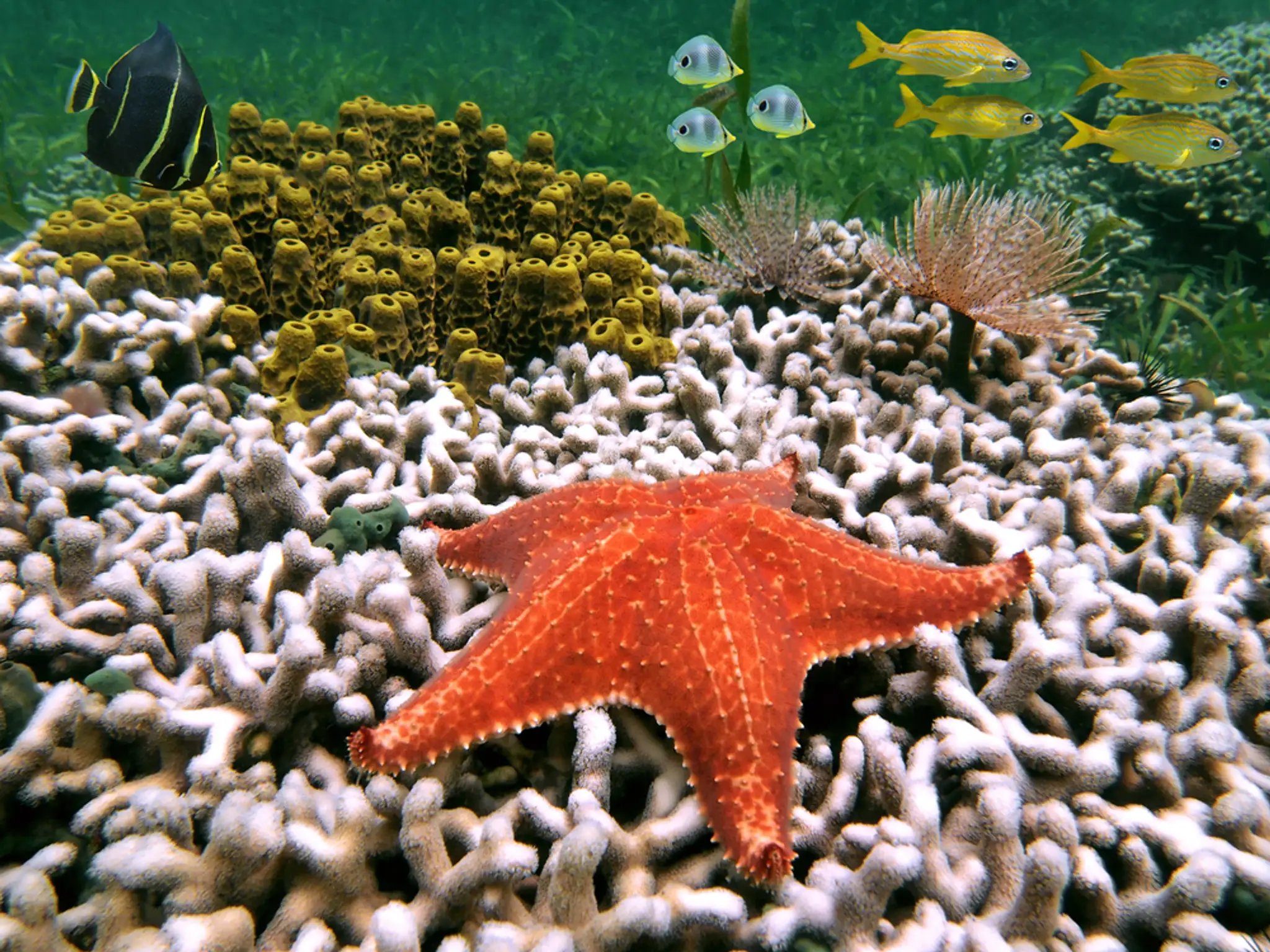 shutterstock_86674474.jpg