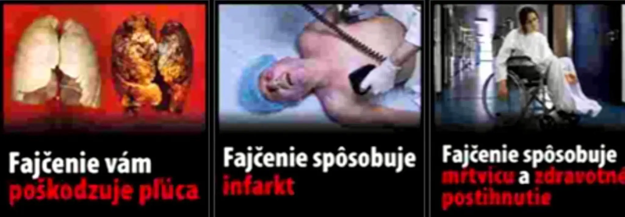 faj3.jpg