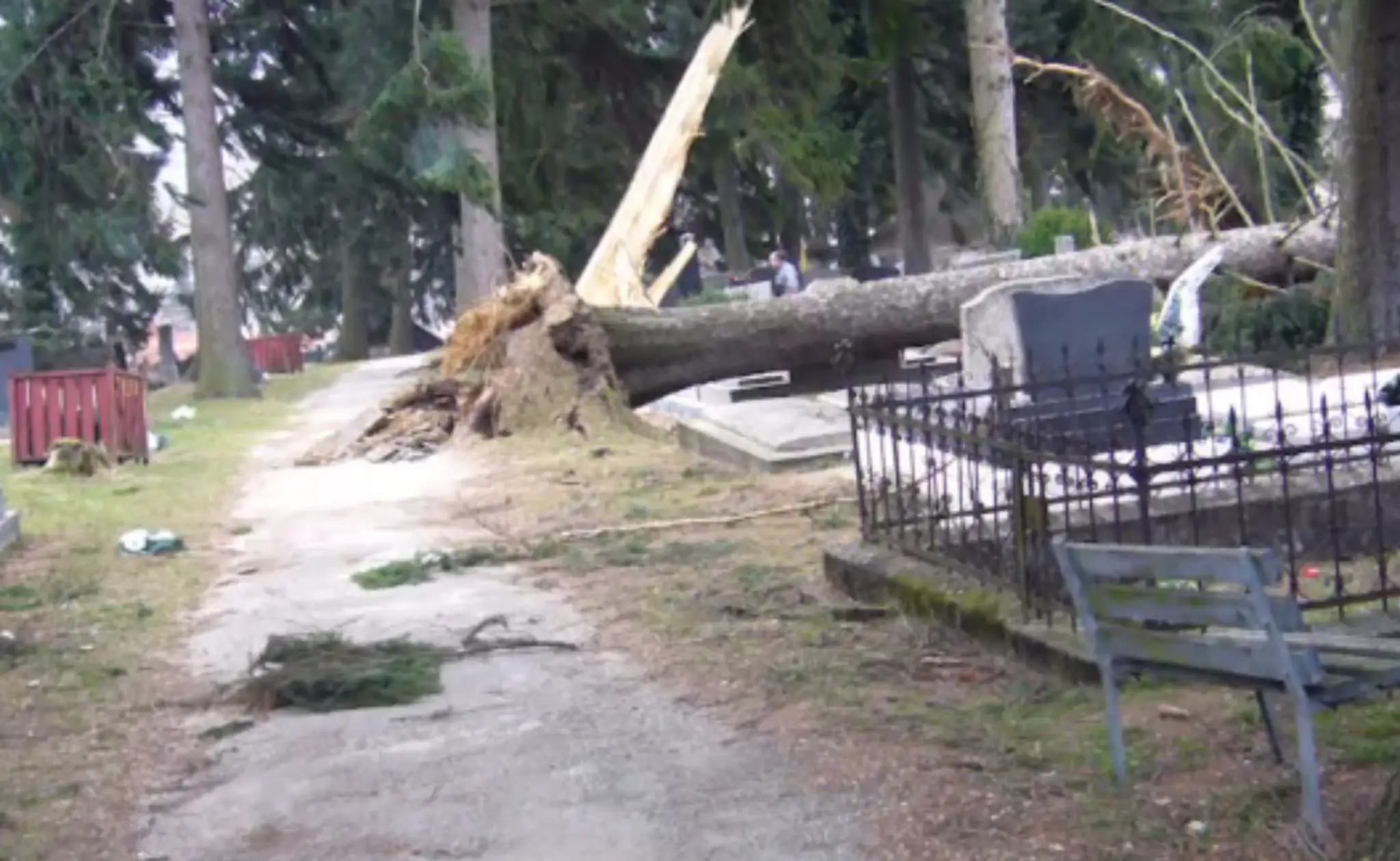 cintorin.jpg