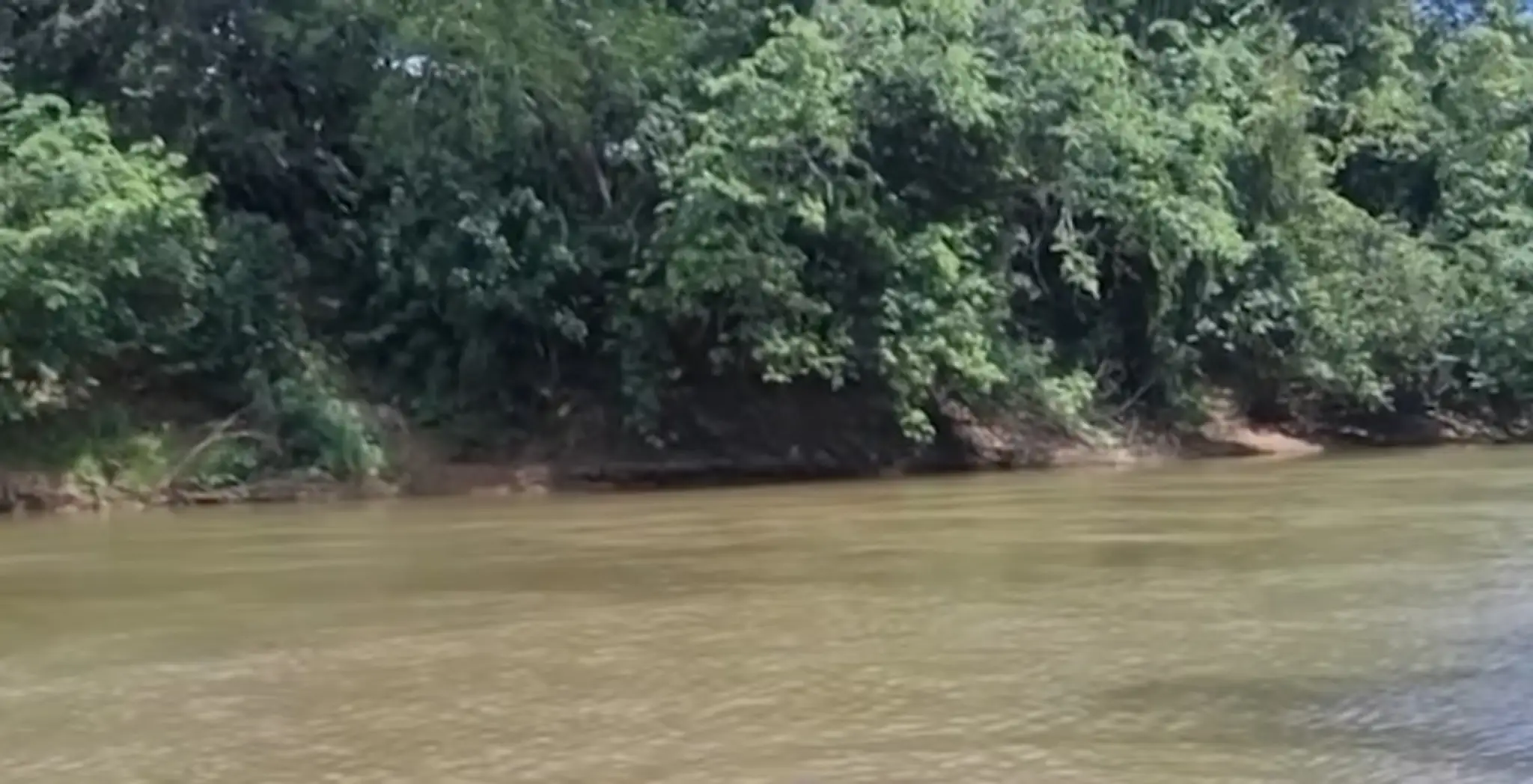 Brazílsky novinár našiel telo nezvestného dievčaťa.
