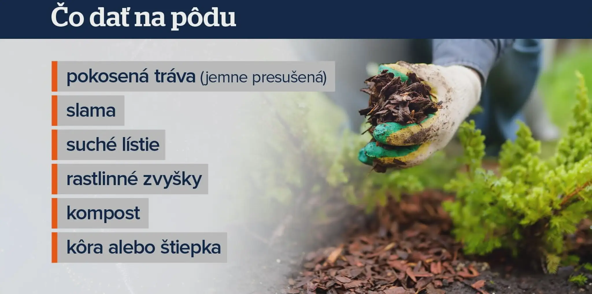 Čo dať na pôdu