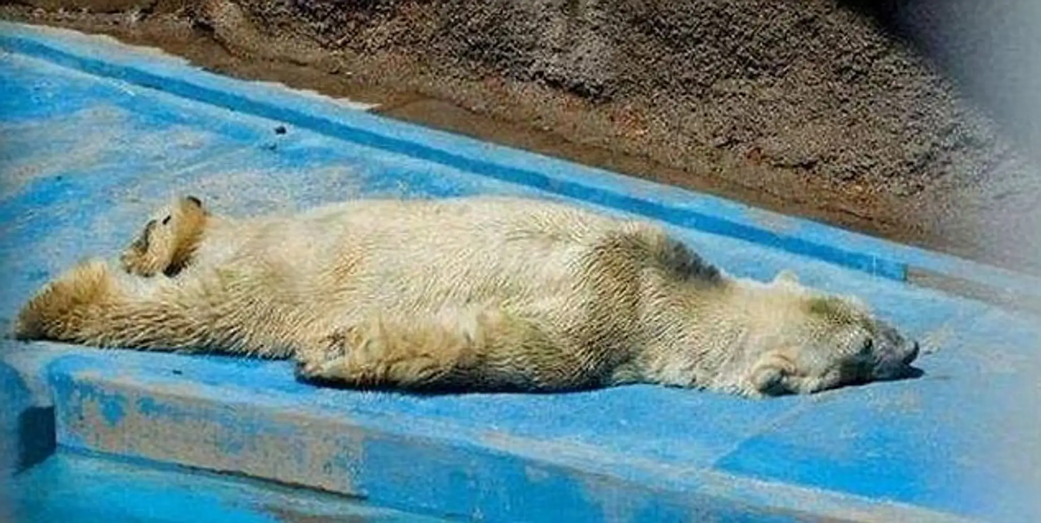 arturo2.jpg