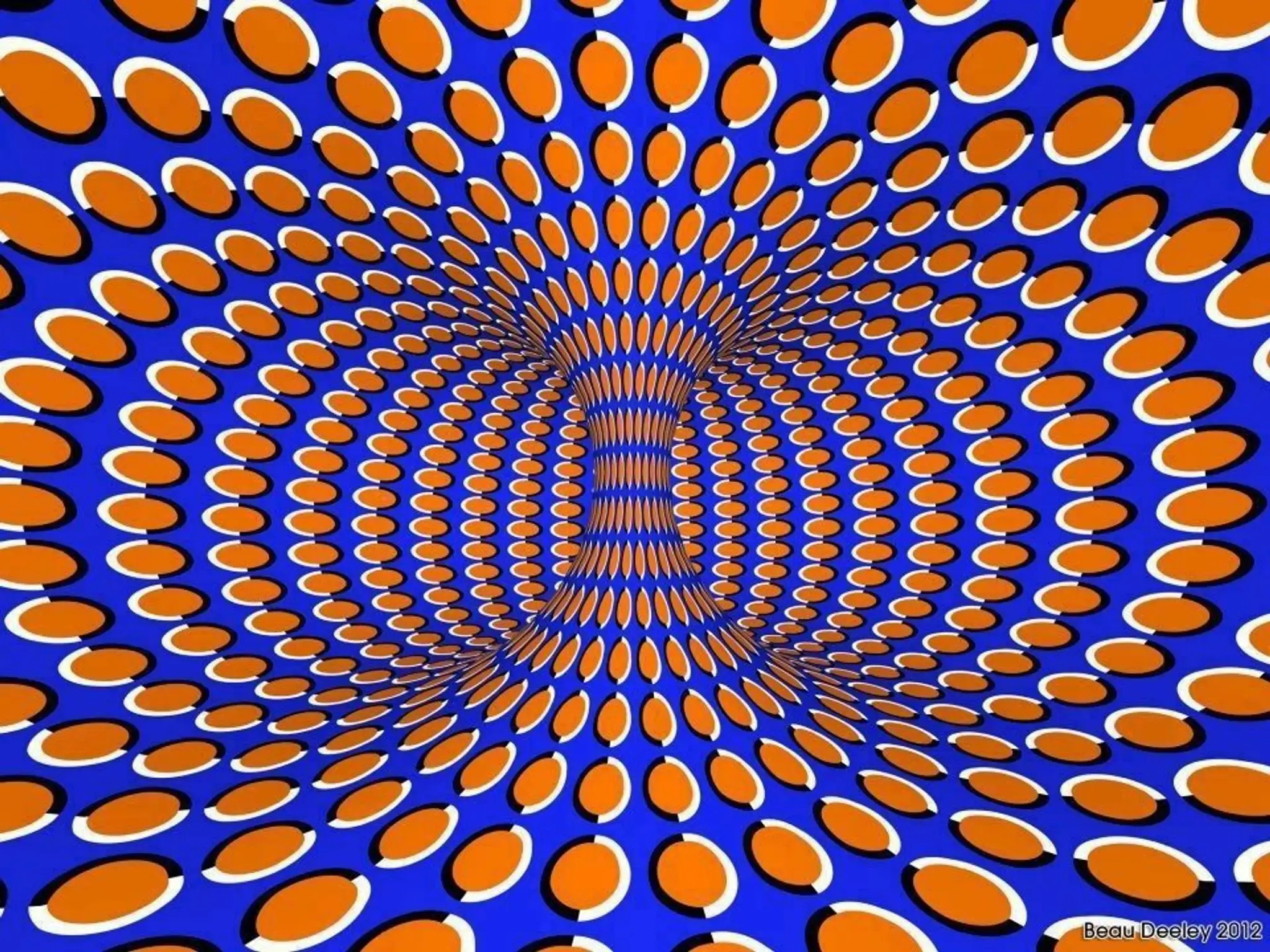 iluzia1.jpg