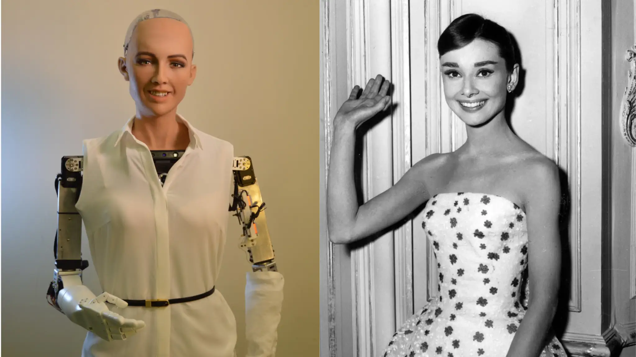 Sophia a jej živá predloha - herečka Audrey Hepburnová, ktorej babička pochádzala zo Slovenska