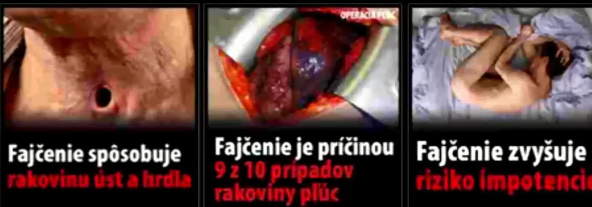 faj1.jpg